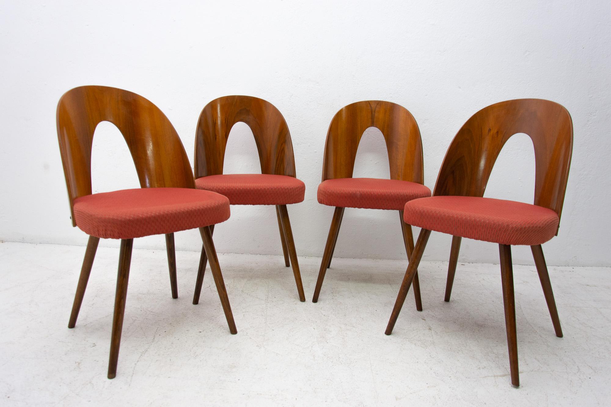 Fabric Midcentury Walnut Dinning Chairs by Antonín Šuman for Tatra Nábytok, Czechosl