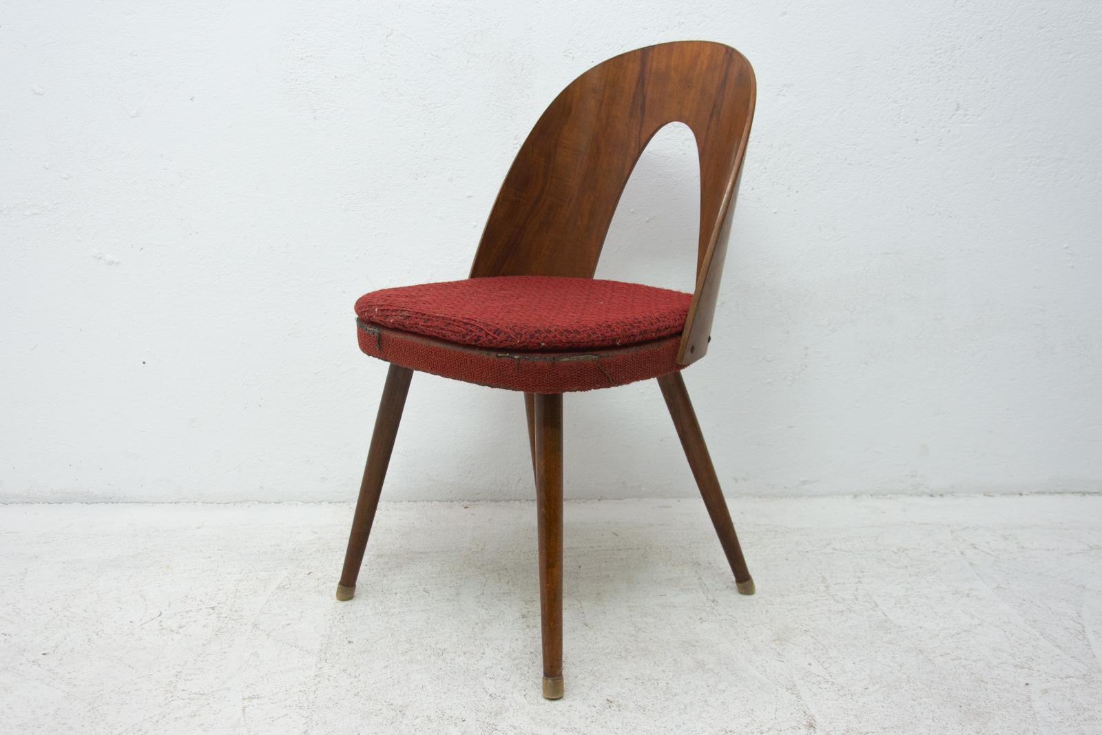 Midcentury Walnut Dining Chairs by Antonín Šuman for Tatra Nábytok, Czechoslov 3