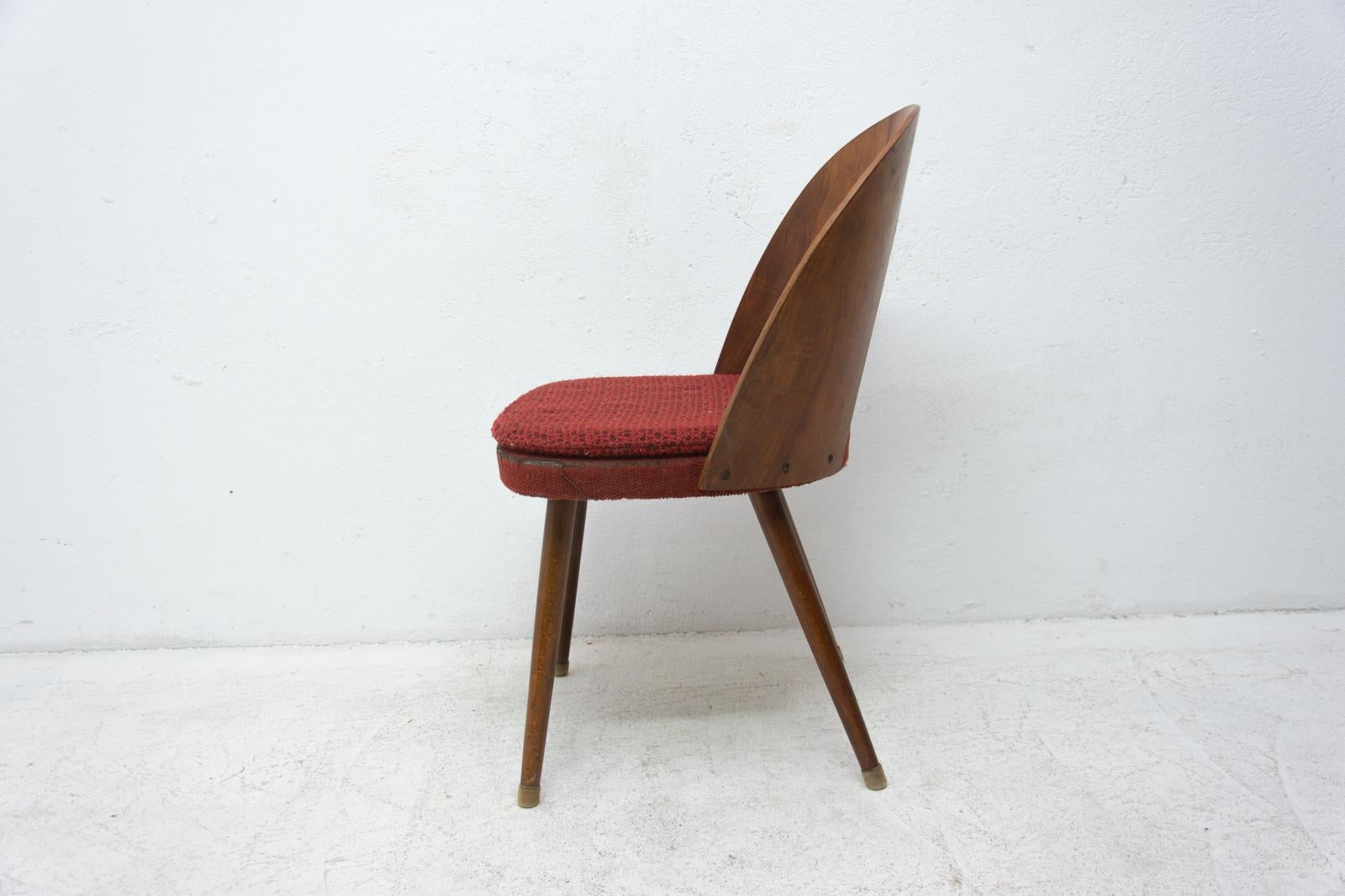 Midcentury Walnut Dining Chairs by Antonín Šuman for Tatra Nábytok, Czechoslov 7