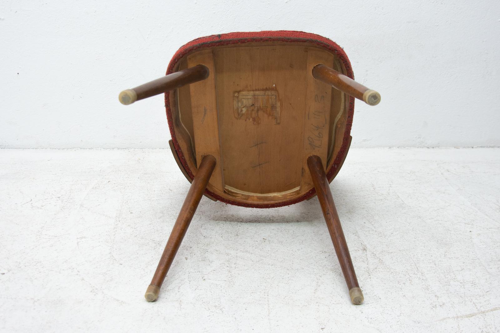 Midcentury Walnut Dining Chairs by Antonín Šuman for Tatra Nábytok, Czechoslov 10
