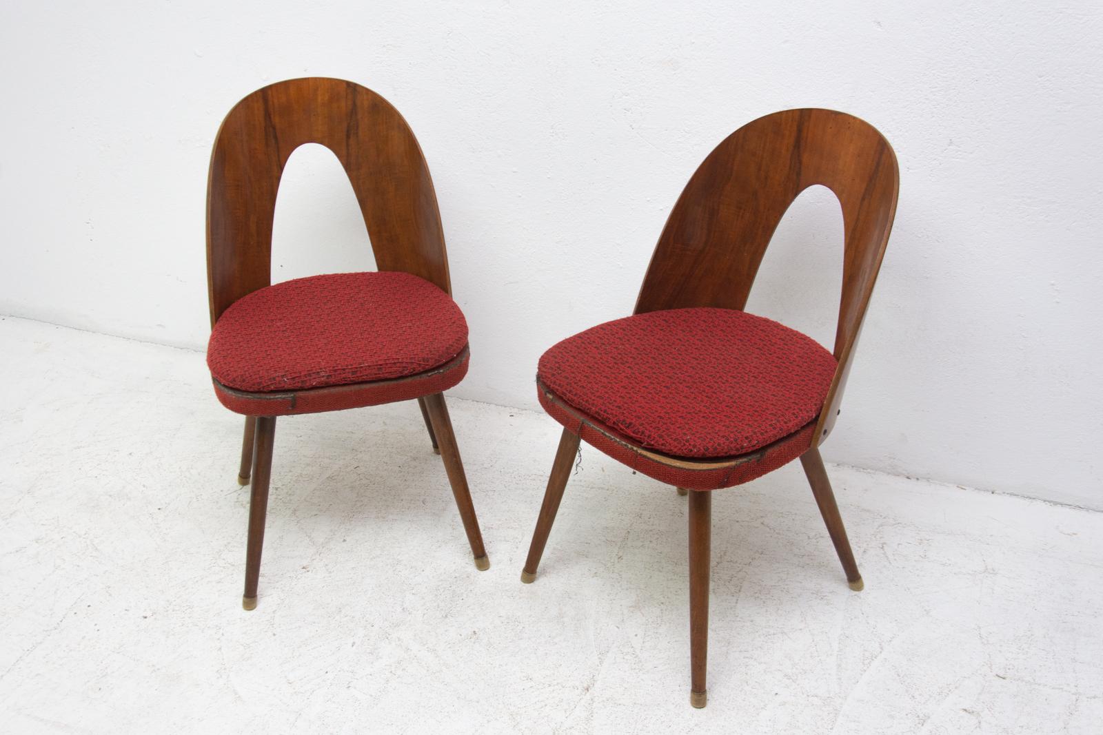 Scandinavian Modern Midcentury Walnut Dining Chairs by Antonín Šuman for Tatra Nábytok, Czechoslov
