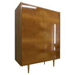 Armoire du milieu du siècle avec finition brillante, 1970