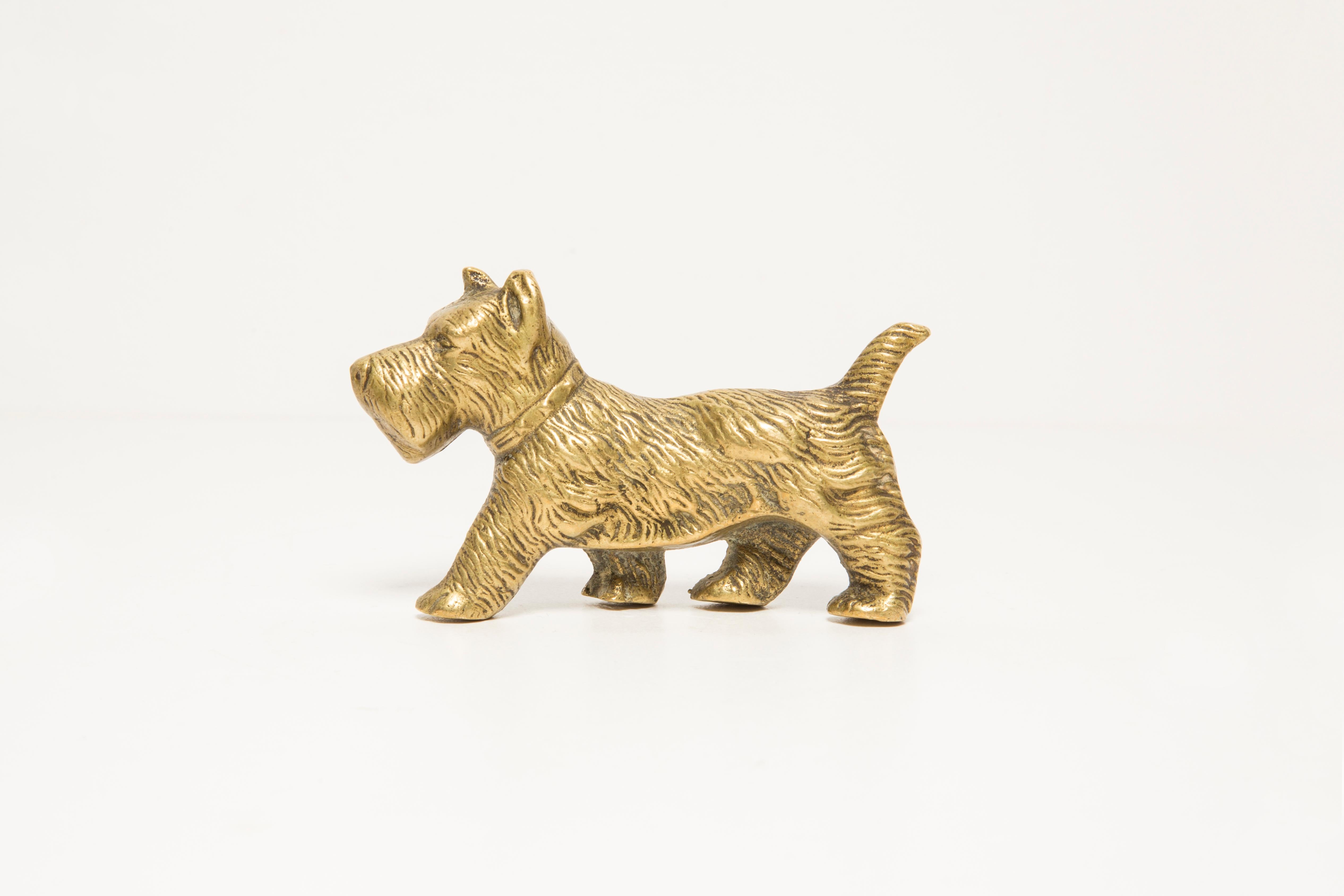 scottish terrier golden