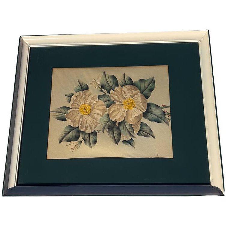Diese handgezeichnete Vintage-Illustration einer kalifornischen Mohnblume versprüht mit ihren leuchtend weißen Blütenblättern, die bis ins kleinste Detail eingefangen wurden, einen zarten Charme. Die gekonnte Linienführung und die sanften