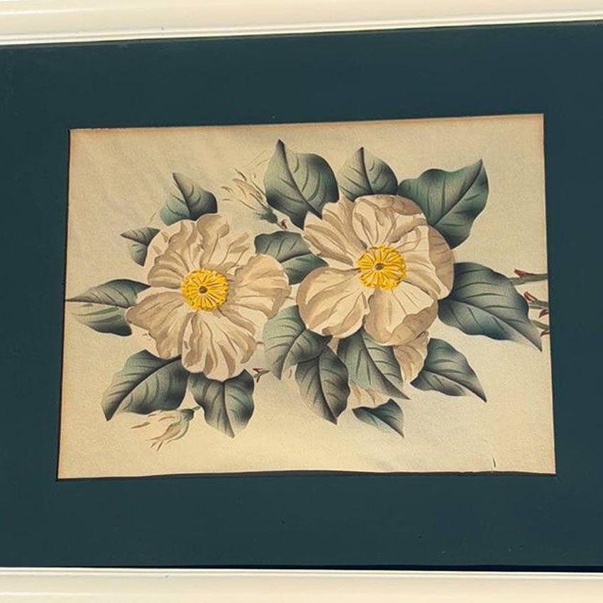 Weiße Kamelie Botanical Floral Lithographie Druck in Originalrahmen, Mitte des Jahrhunderts (Moderne der Mitte des Jahrhunderts) im Angebot