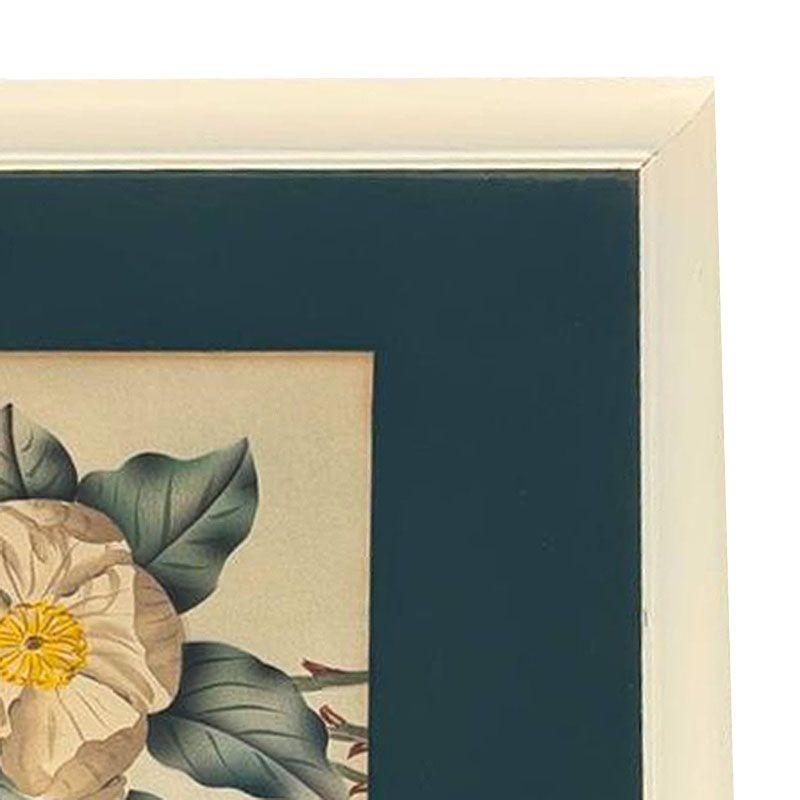 Weiße Kamelie Botanical Floral Lithographie Druck in Originalrahmen, Mitte des Jahrhunderts im Zustand „Hervorragend“ im Angebot in Van Nuys, CA