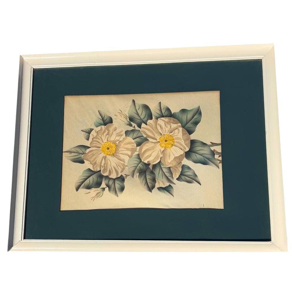 Mid Century White Camellia Botanical Floral Lithograph Print in Original Frame