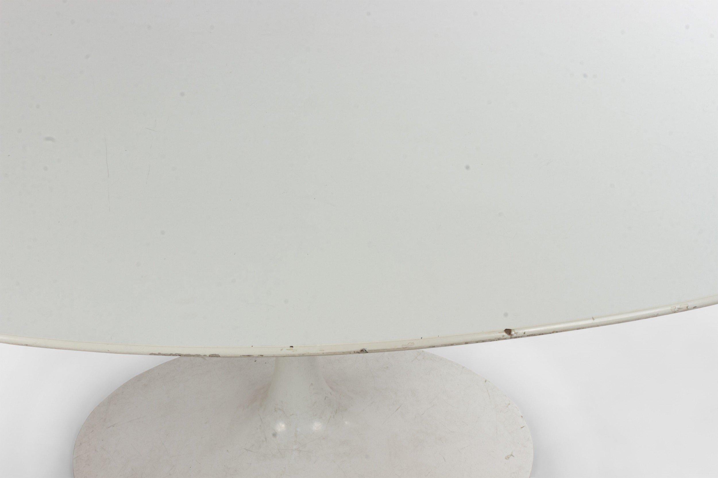 white tulip oval table