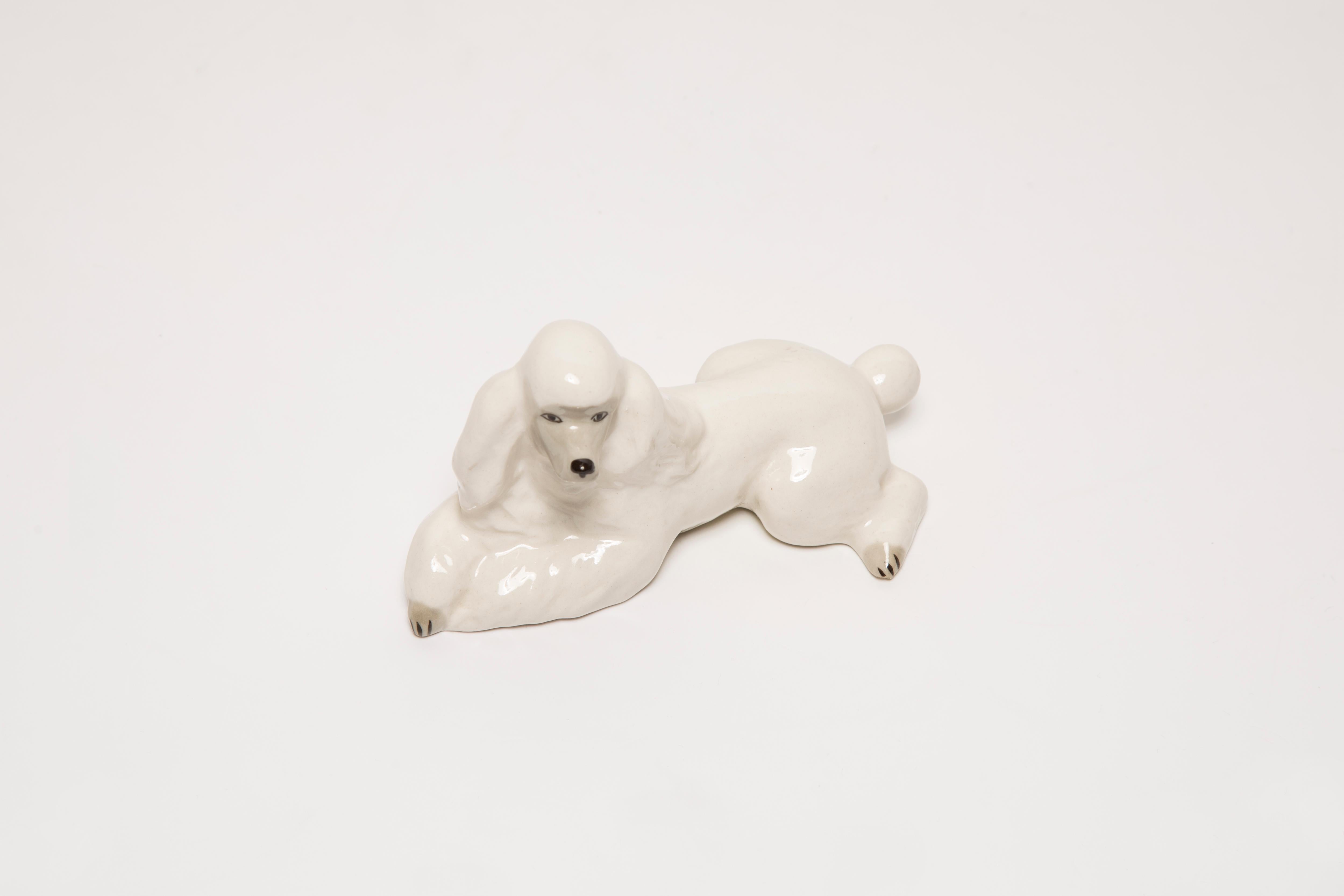 20th Century Midcentury White Poodle Ceramic Dog Sculpture, Europe, 1960s For Sale
