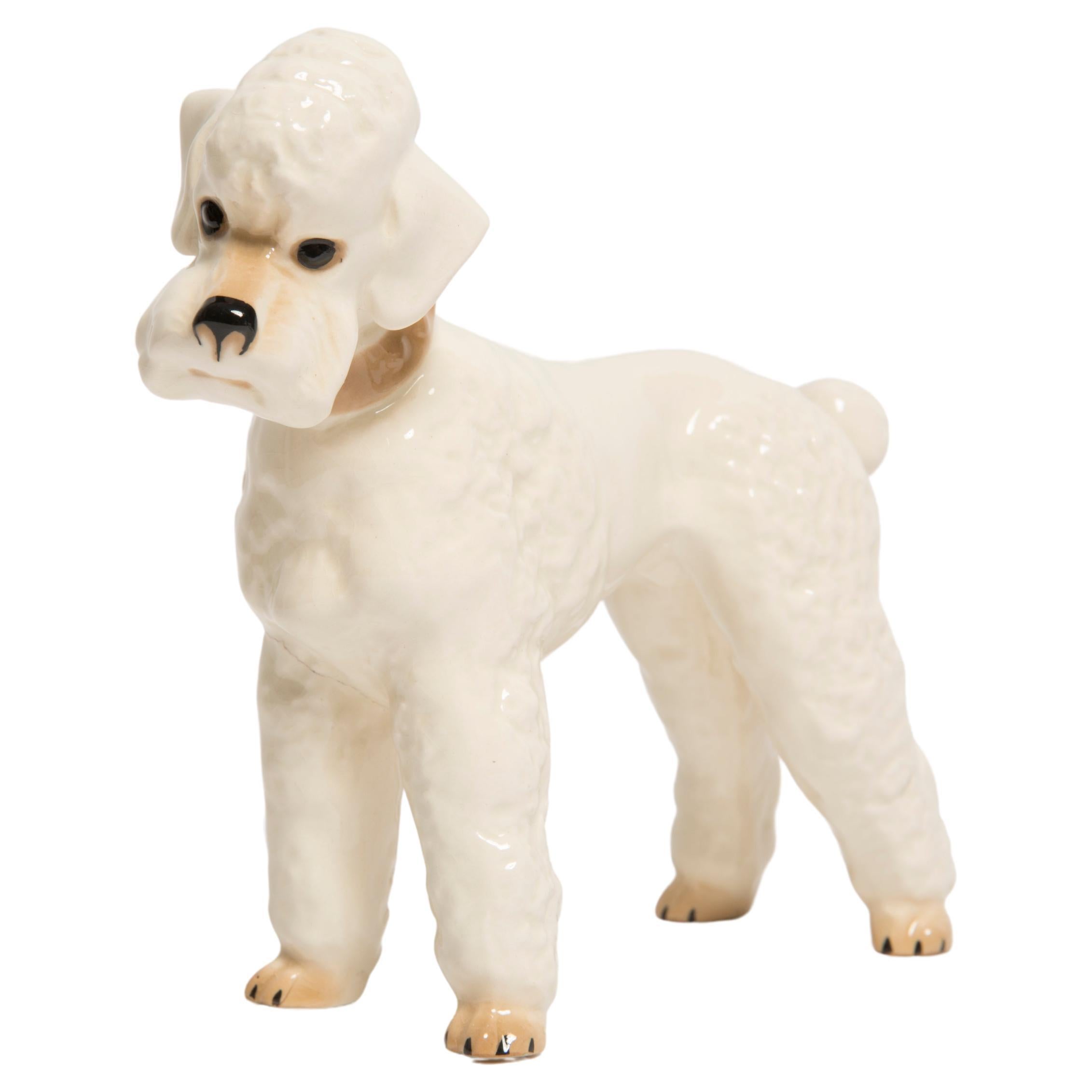 Mid Century White Poodle Dog Sculpture II, Italy, 1960s