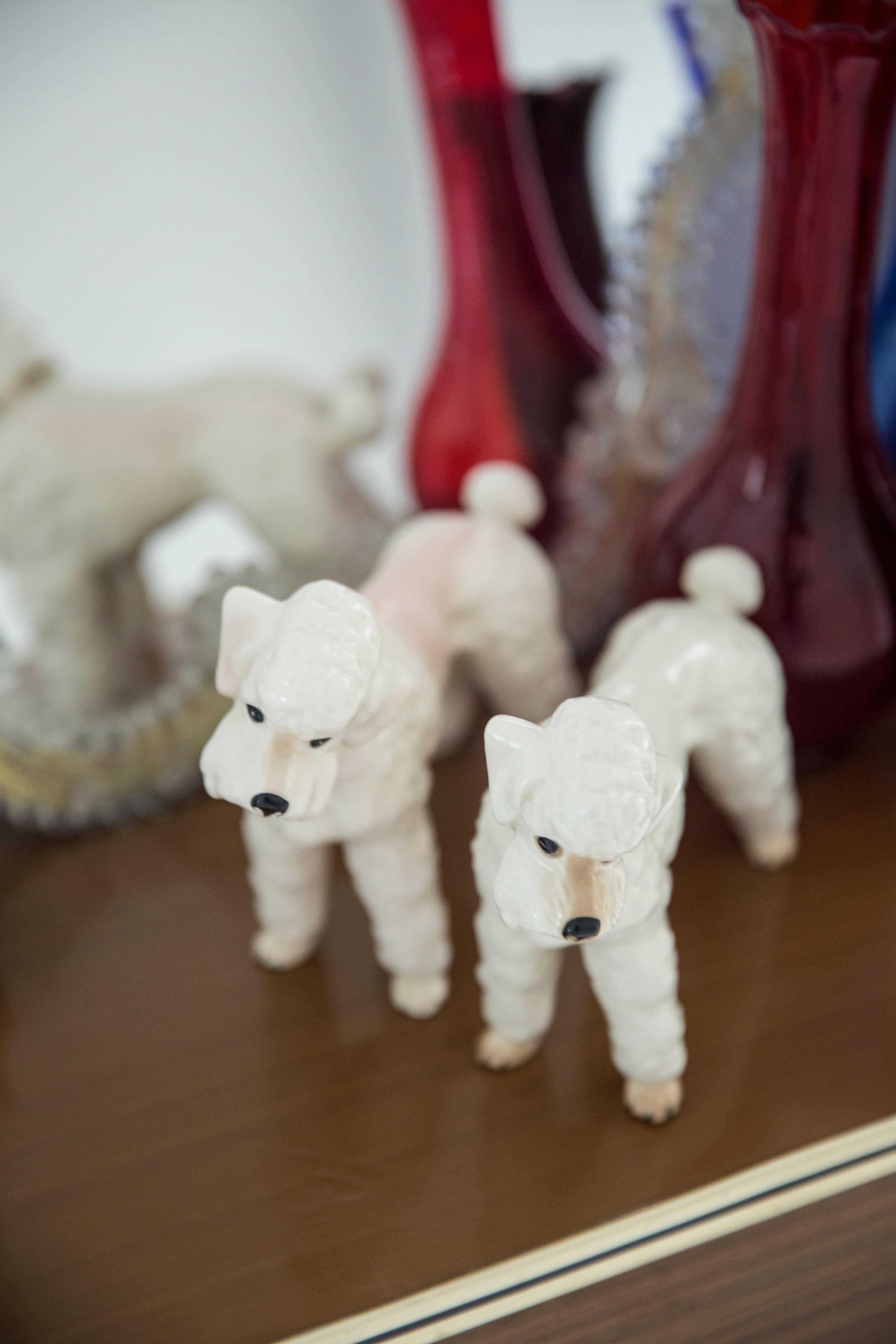 Italian Mid Century White Poodle Dog Sculpture, Italy, 1960s For Sale