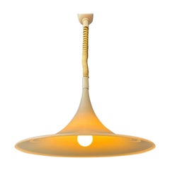 Lampe pendante chapeau de fougère blanche de l'ère spatiale, 1970