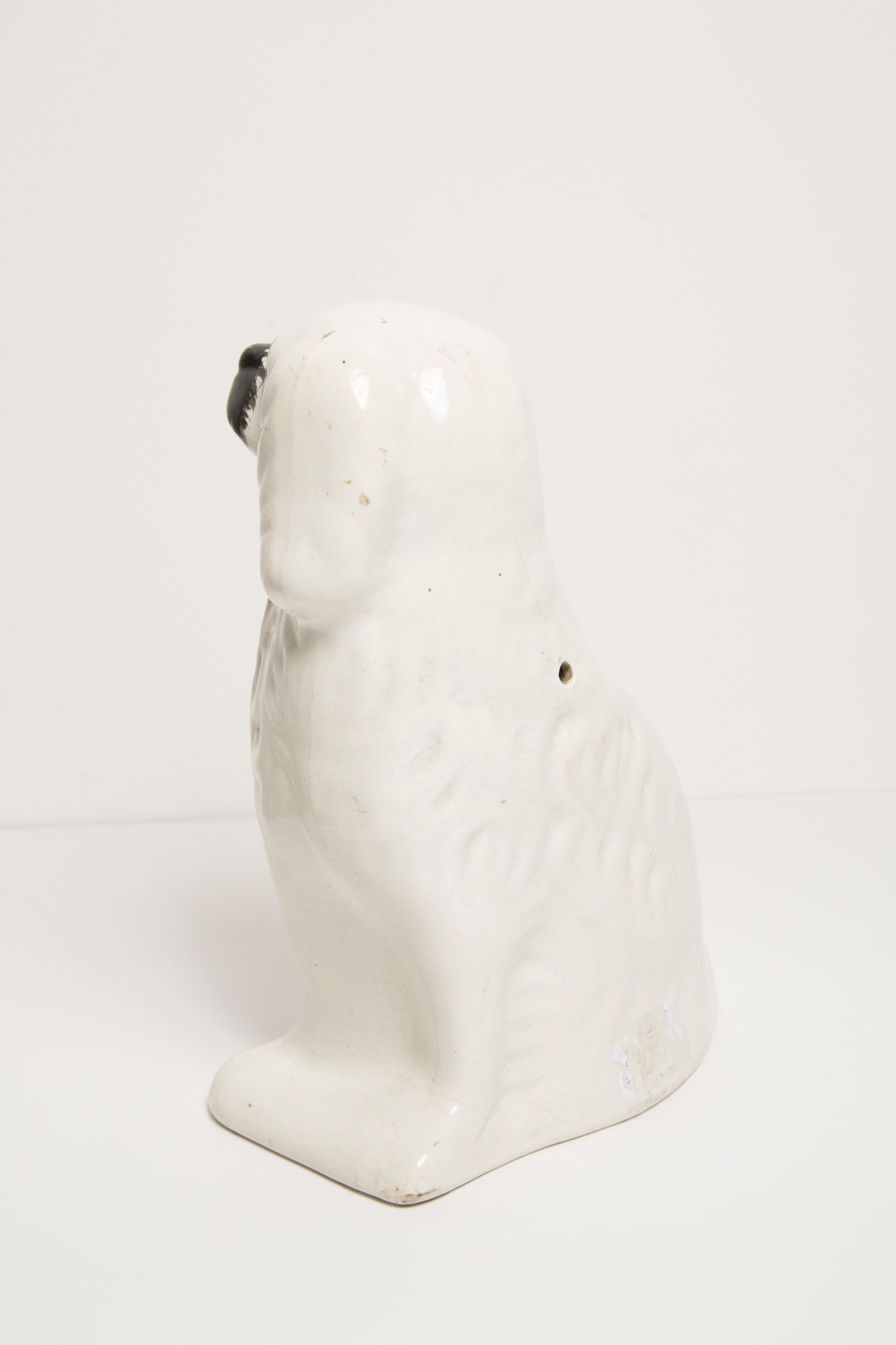 Mid Century White Spaniel Dog Sculpture Staffordshire England, 1960s In Good Condition For Sale In 05-080 Hornowek, PL