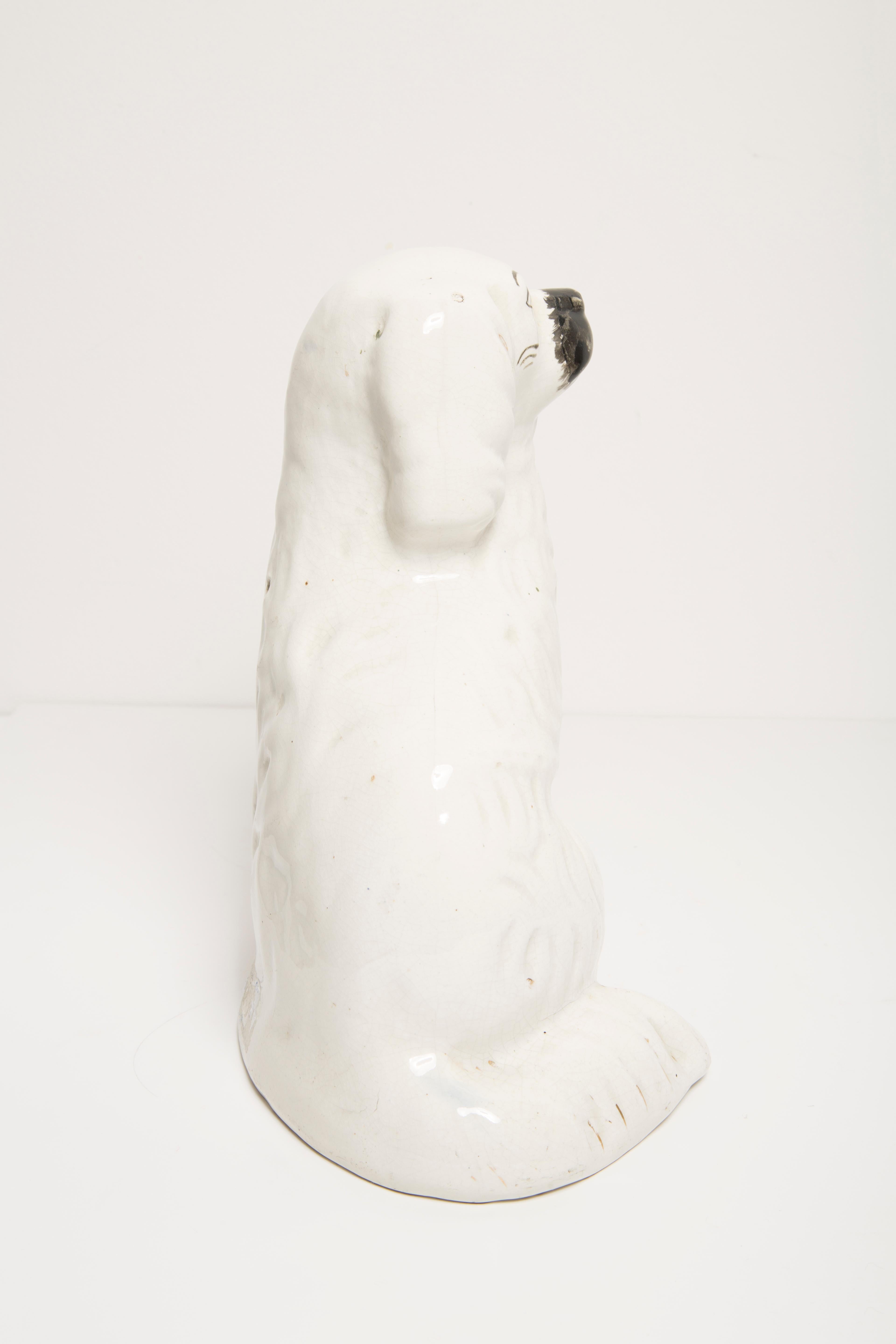 Mid Century White Spaniel Dog Sculpture Staffordshire England, 1960s For Sale 1