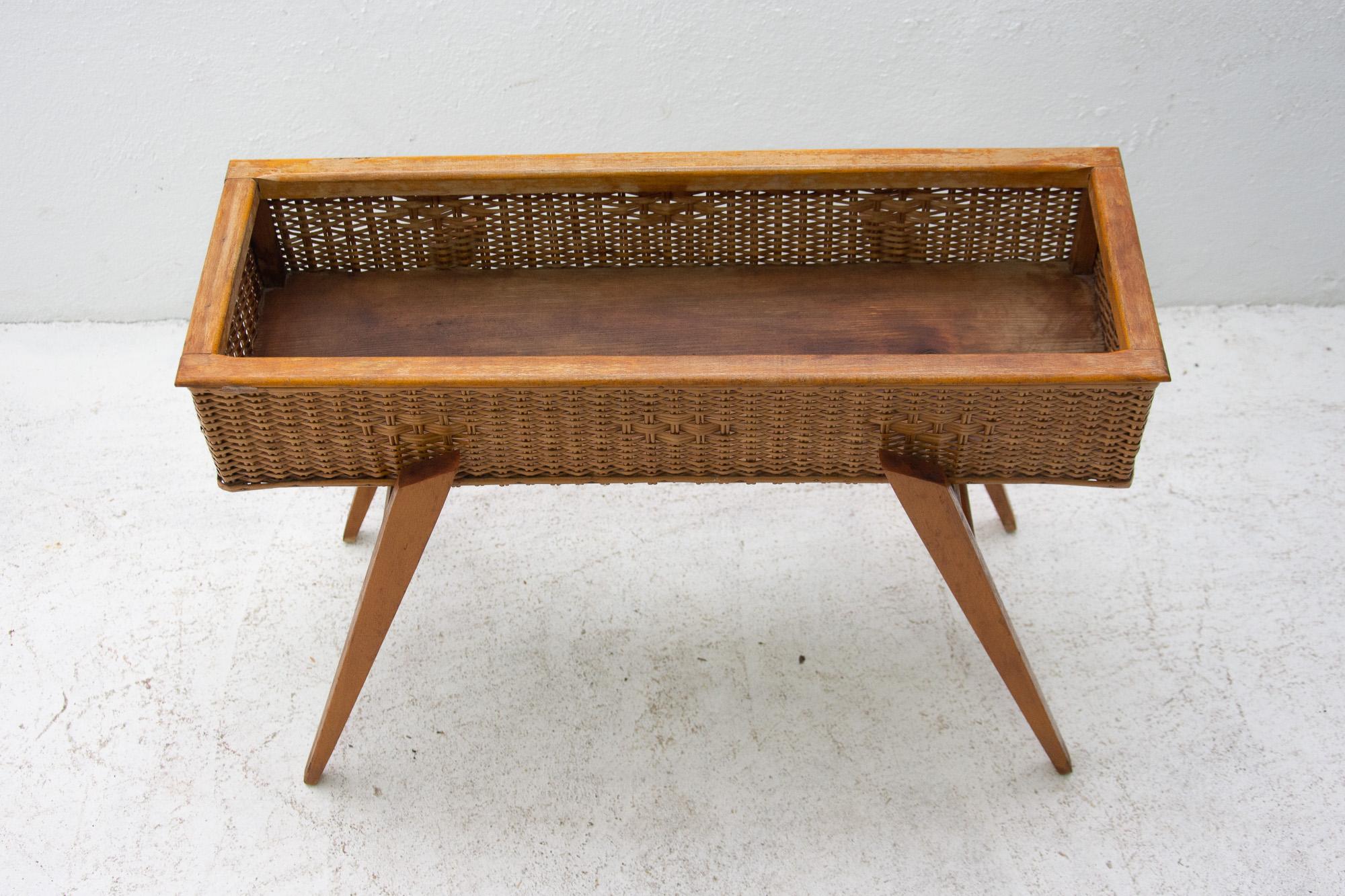 Midcentury Wicker and Beech Plant Stand, 1960s, Central Europe 4