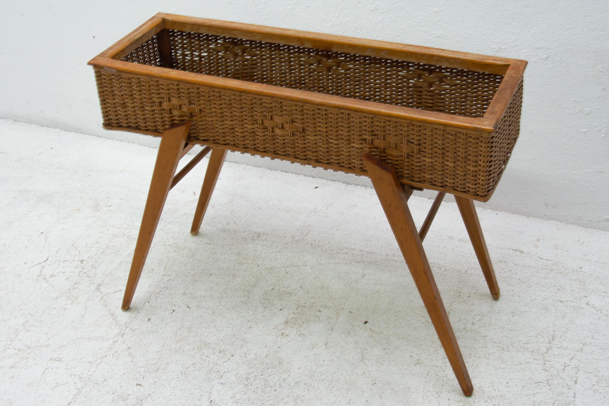 Scandinavian Modern Midcentury Wicker and Beech Plant Stand, 1960s, Central Europe