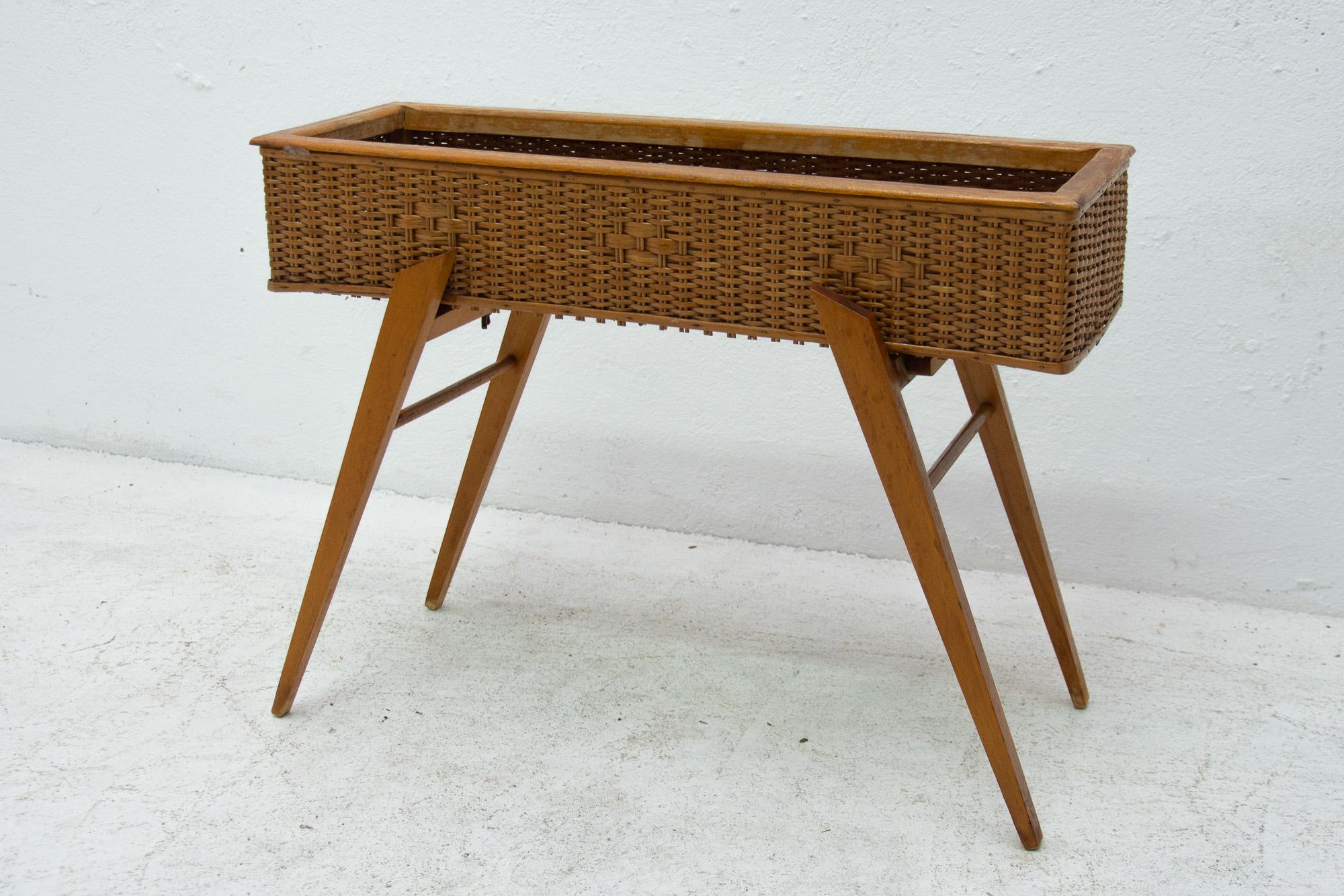 Czech Midcentury Wicker and Beech Plant Stand, 1960s, Central Europe