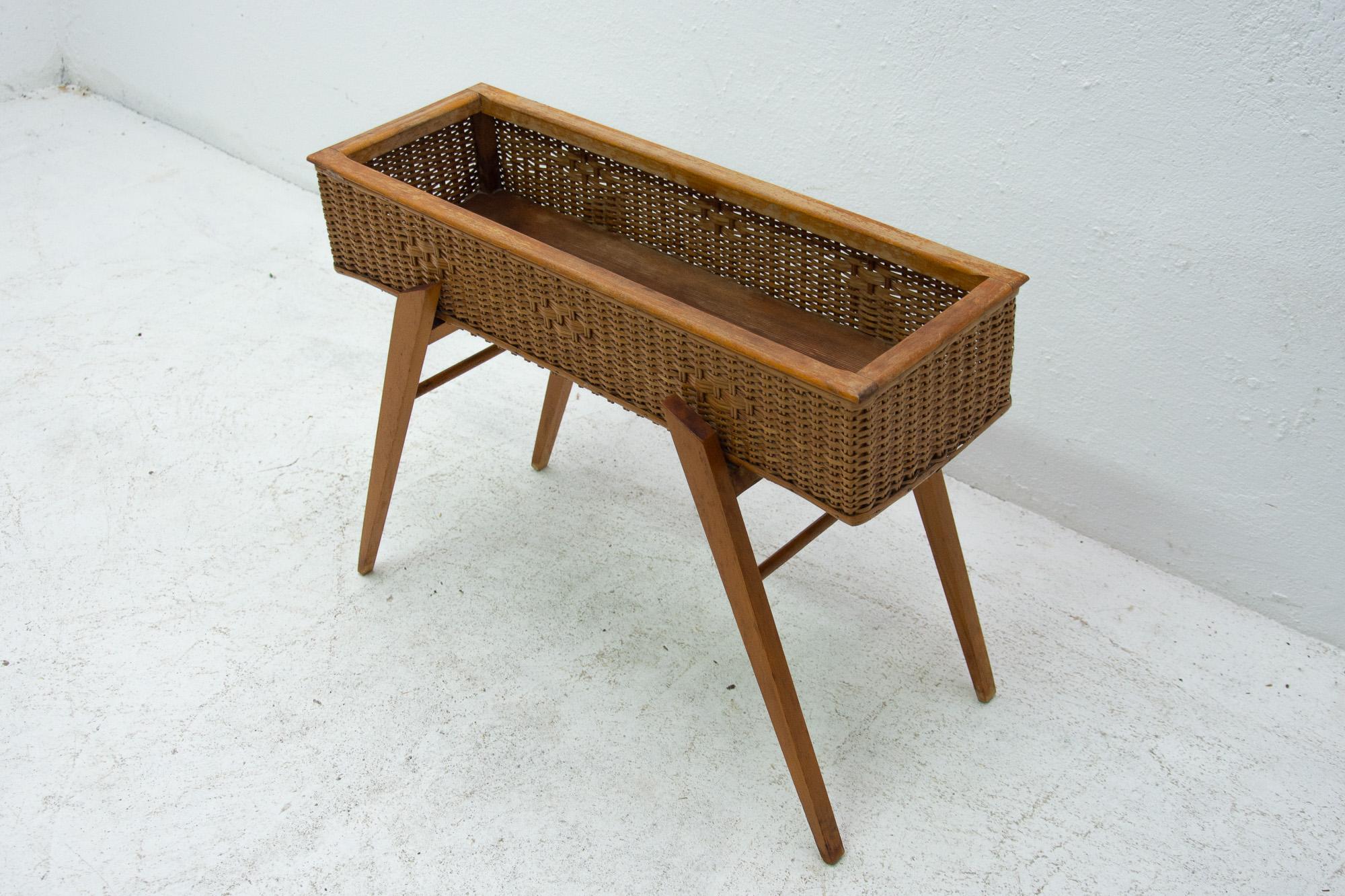 Midcentury Wicker and Beech Plant Stand, 1960s, Central Europe In Good Condition In Prague 8, CZ
