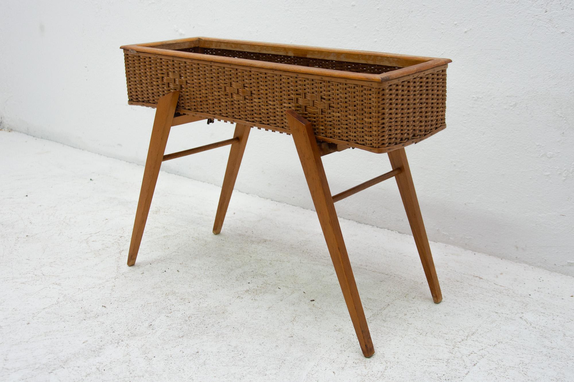 20th Century Midcentury Wicker and Beech Plant Stand, 1960s, Central Europe