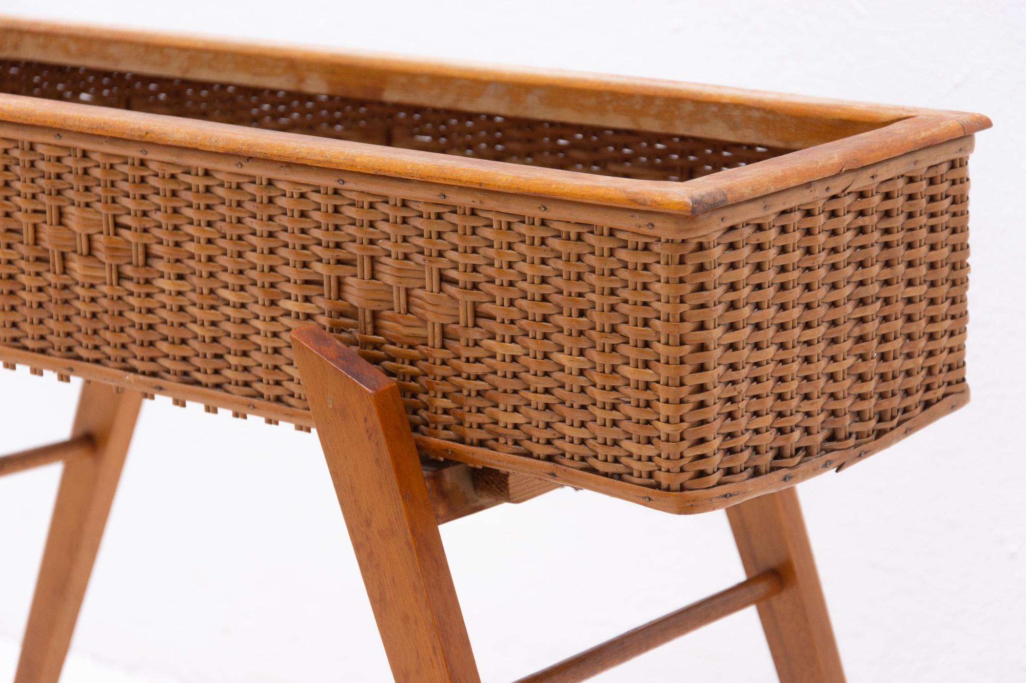 Midcentury Wicker and Beech Plant Stand, 1960s, Central Europe 1