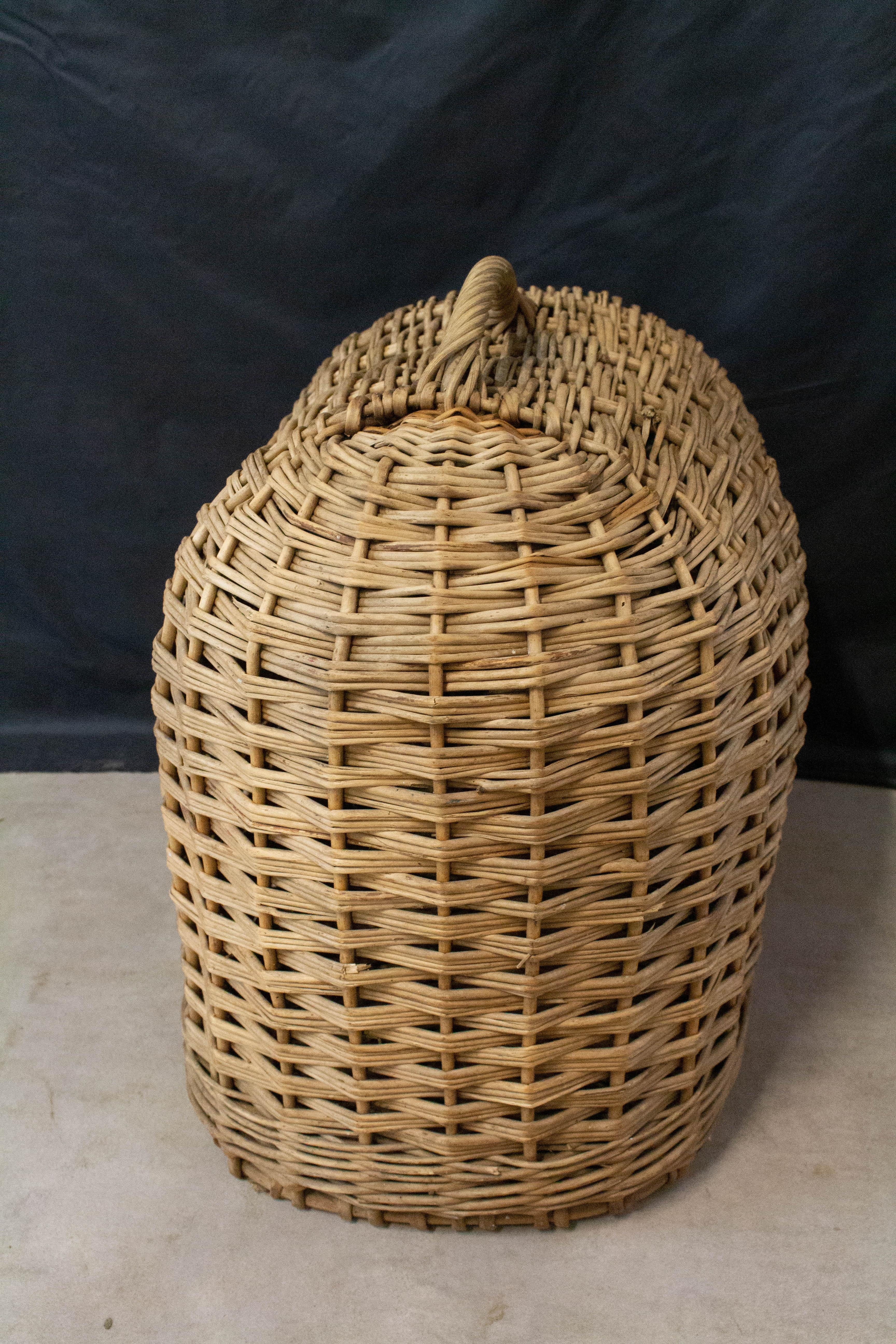 Mid-Century Modern Panier de transport en osier du milieu du siècle pour chat ou chien, France en vente
