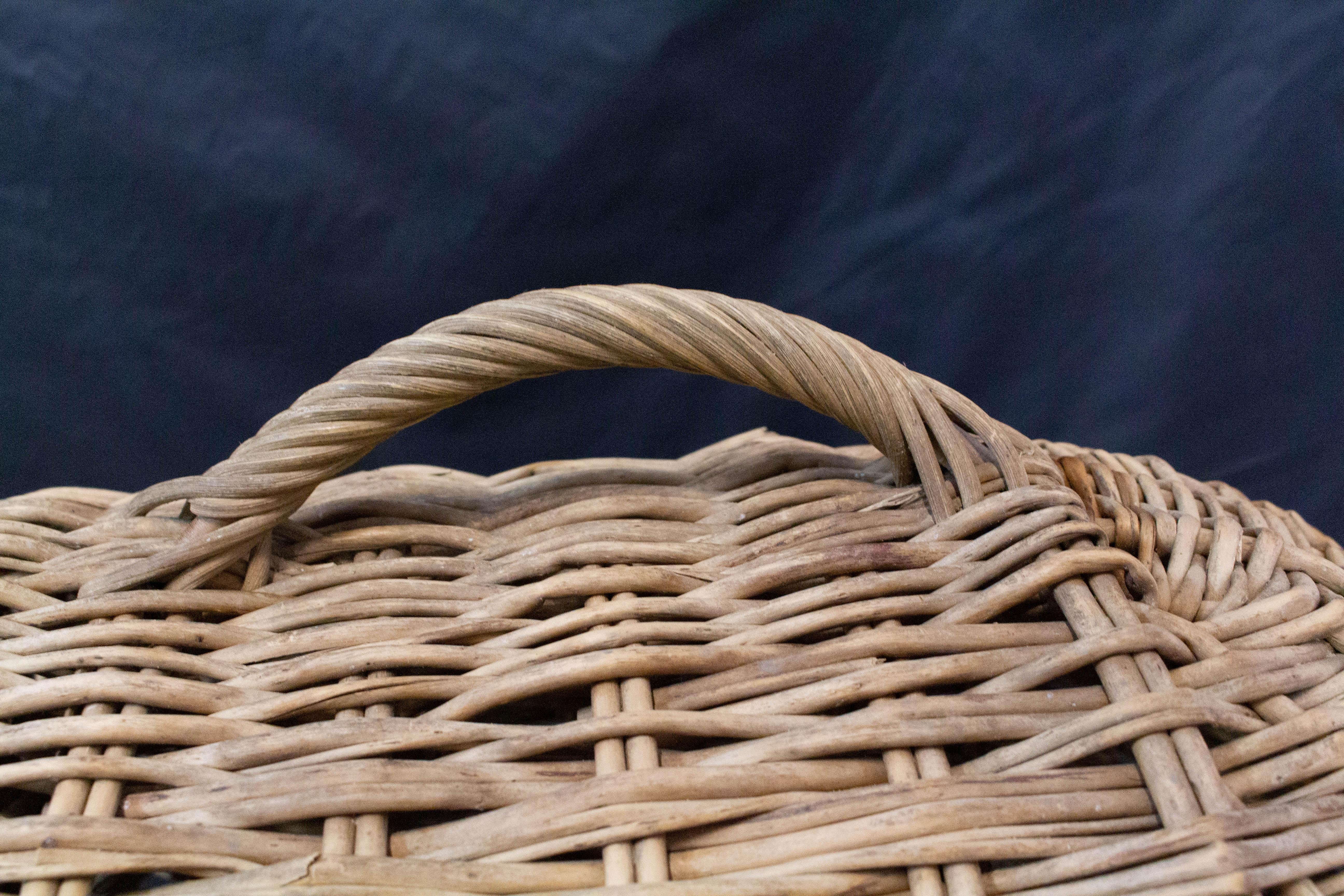 20th Century Mid-century Wicker Transport Basket Cat or Dog France For Sale