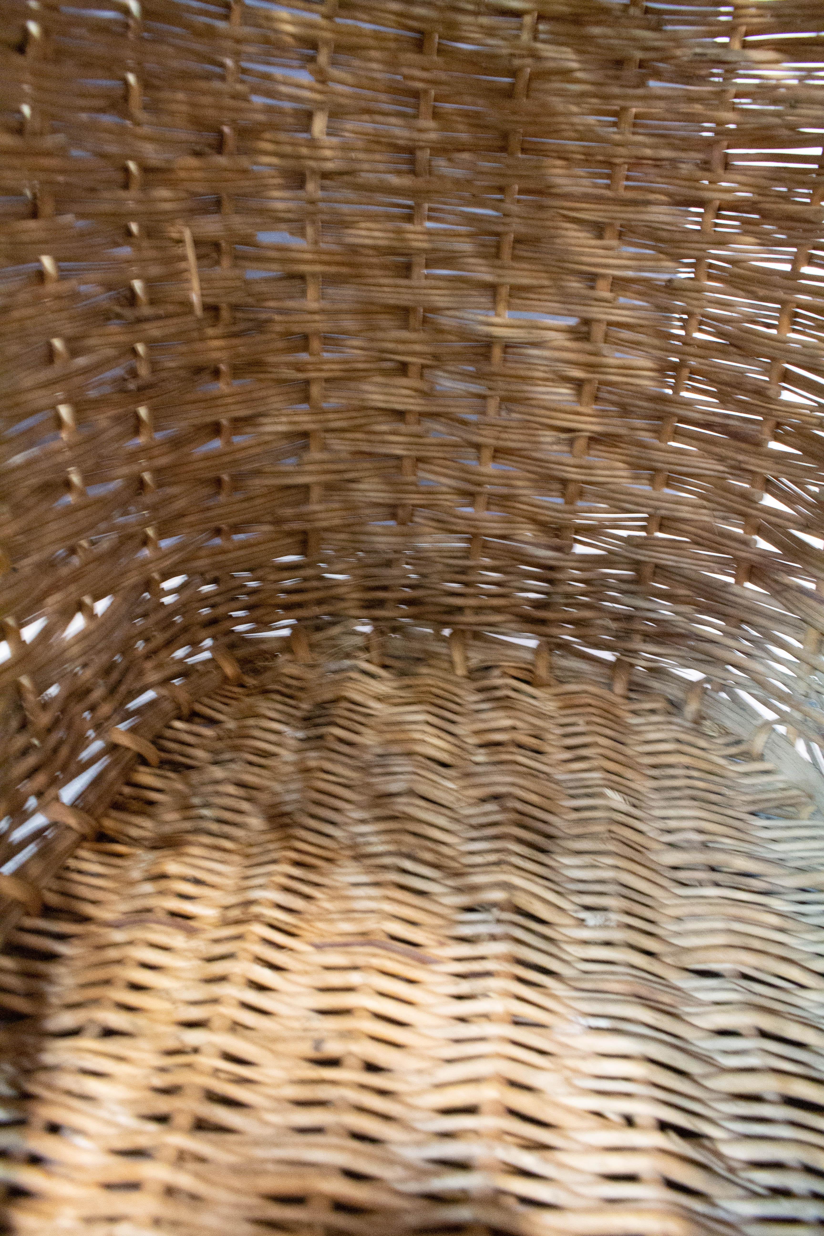 20ième siècle Panier de transport en osier du milieu du siècle pour chat ou chien, France en vente