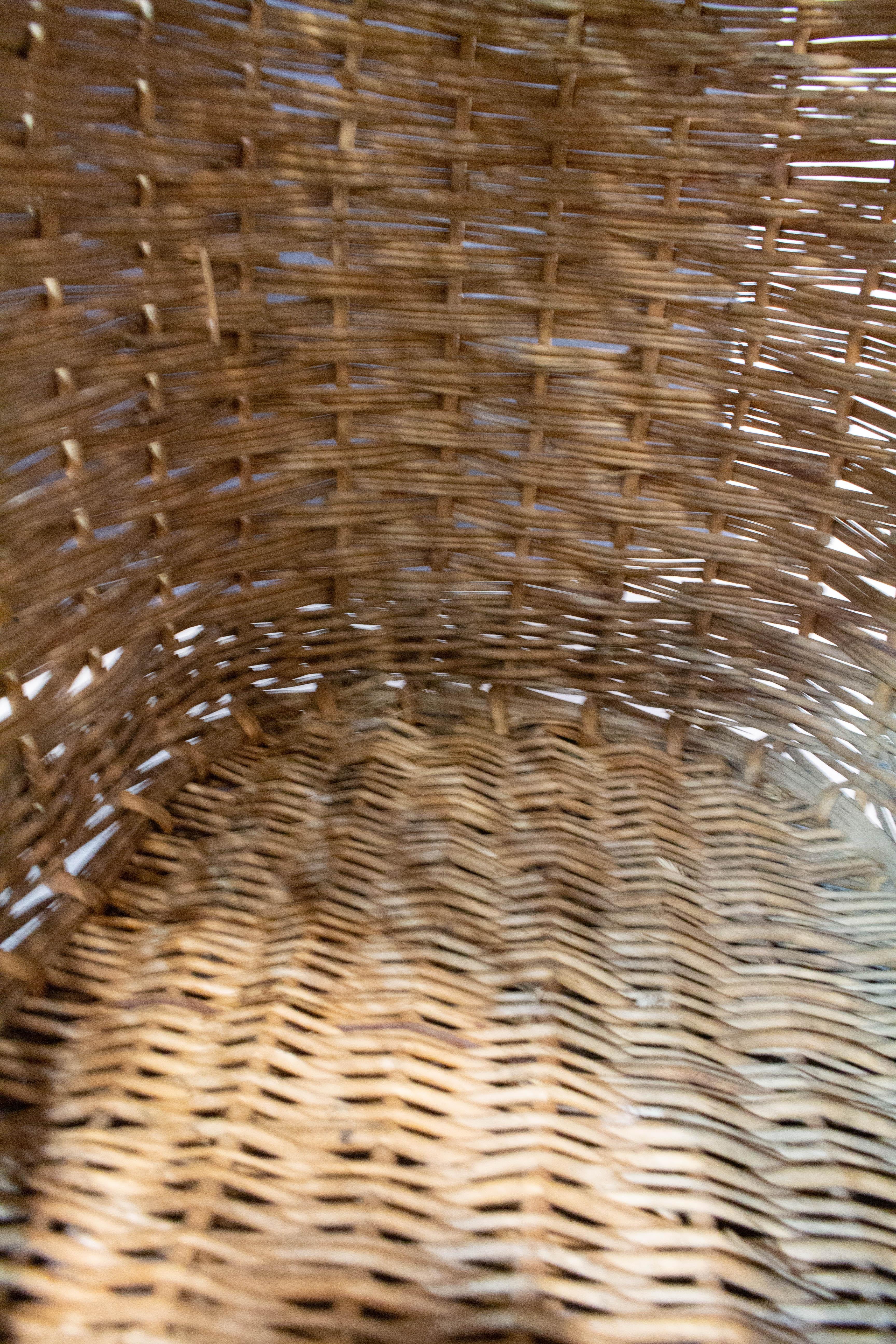 Mid-century Wicker Transport Basket Cat or Dog France For Sale 2