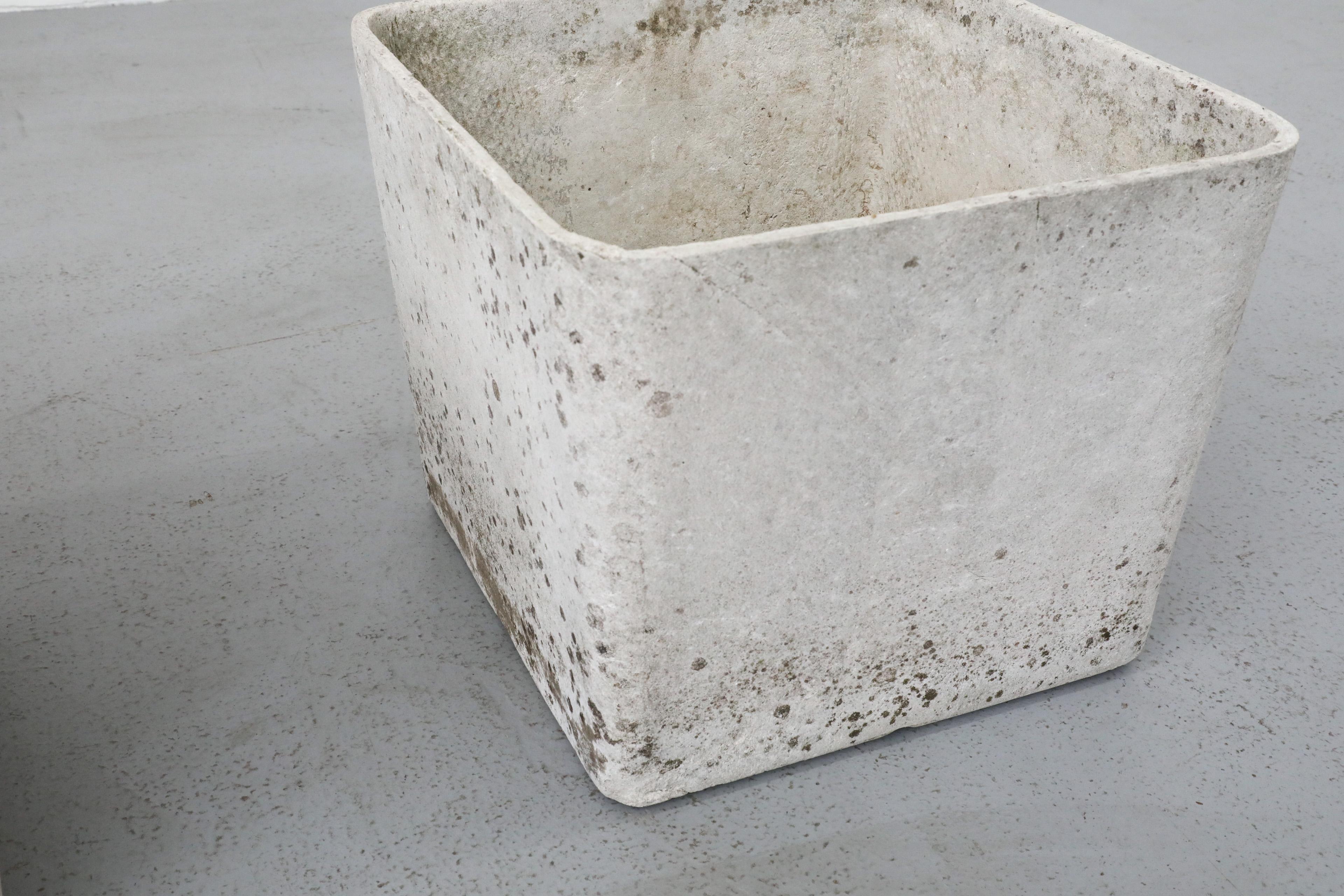 Mid-Century Willy Guhl Attributed Square Cement Planter 4