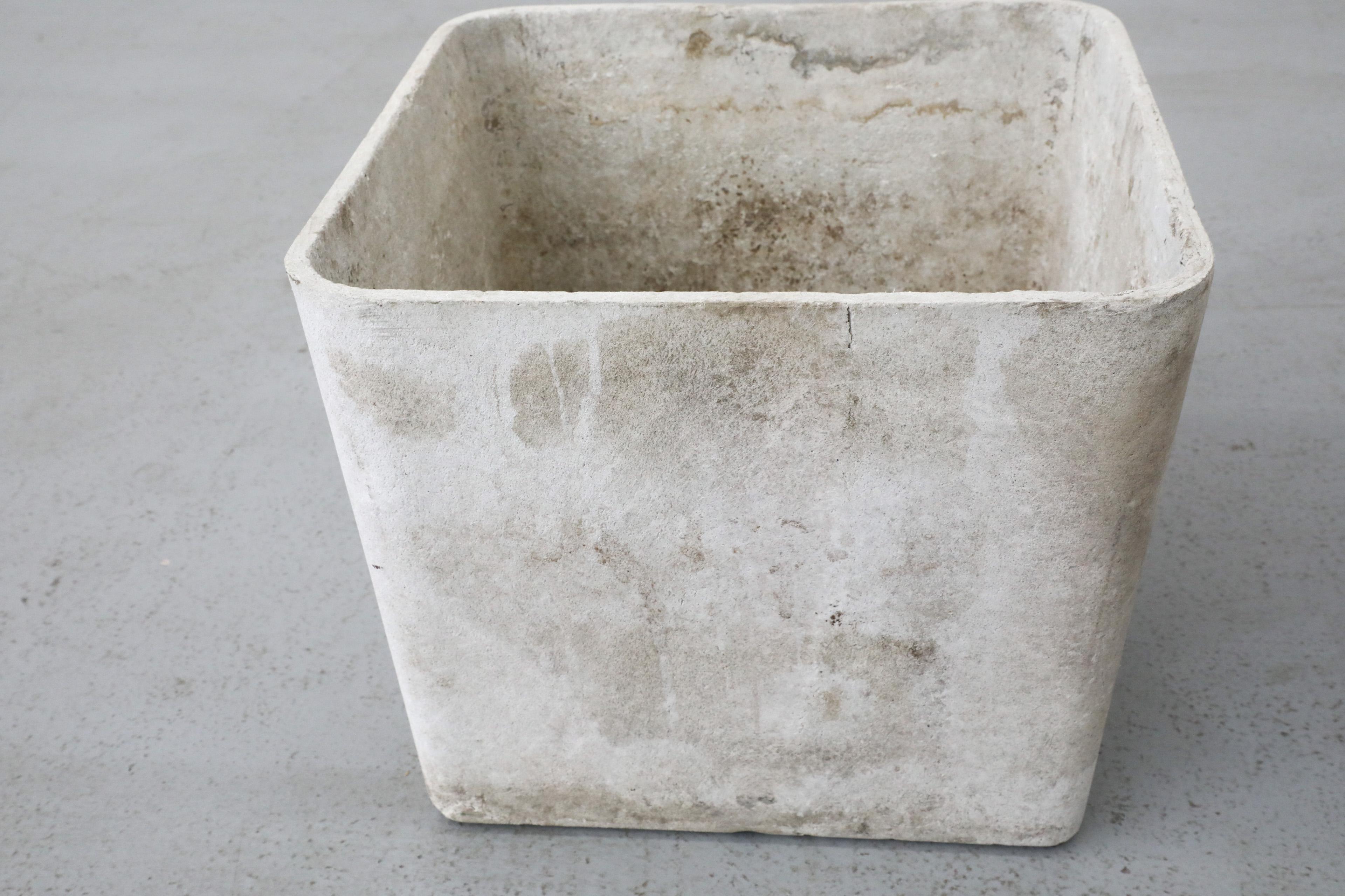 Mid-Century Willy Guhl Attributed Square Cement Planter 5