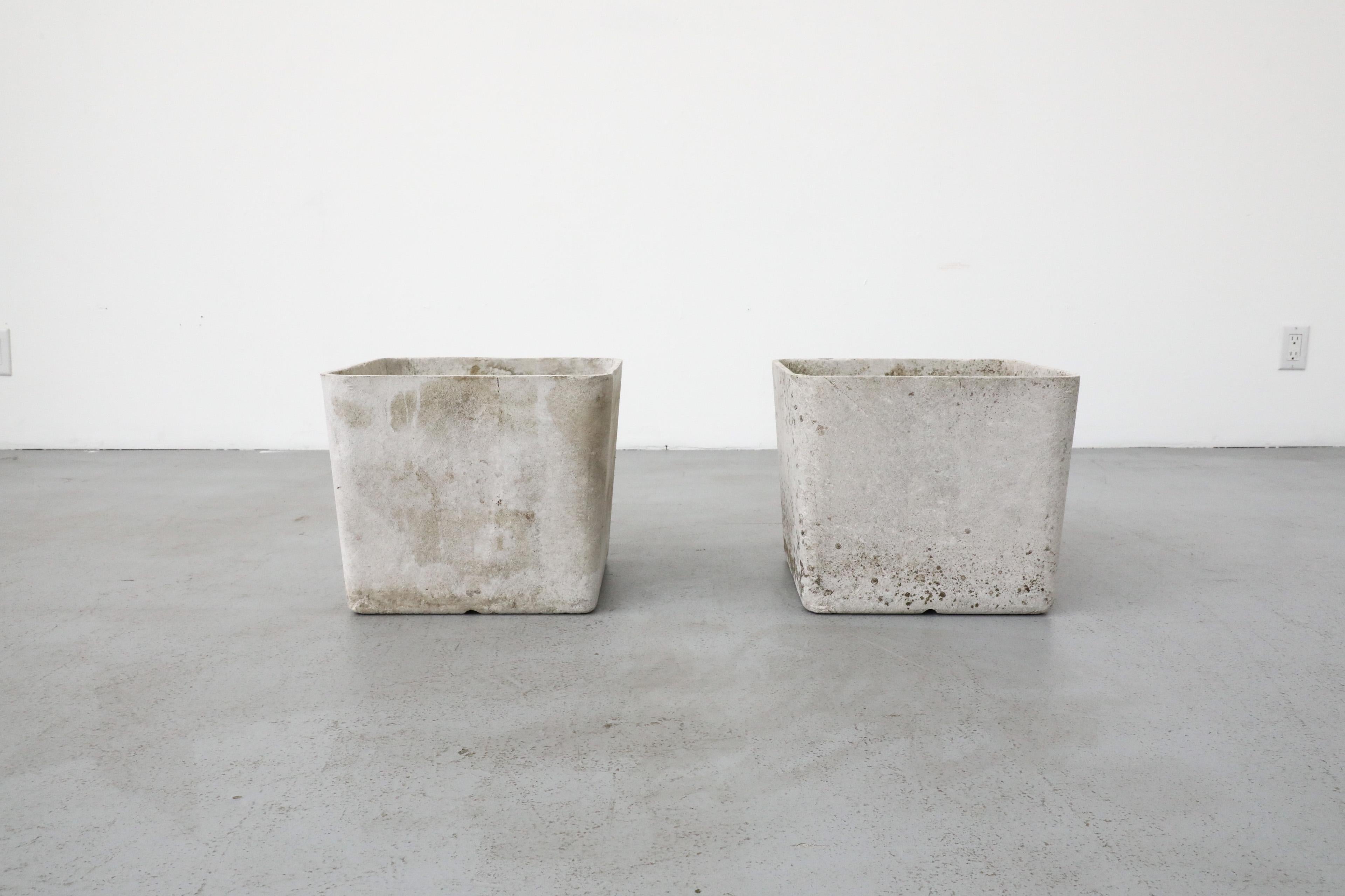 Mid-Century Willy Guhl Attributed Square Cement Planter 6