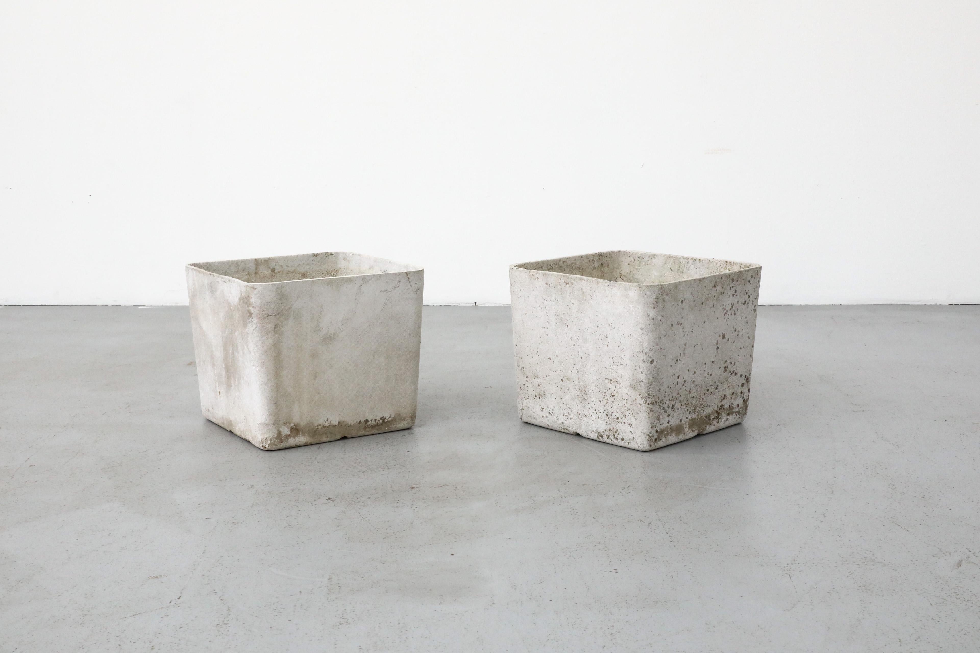 Minimalist Mid-Century Willy Guhl Attributed Square Cement Planter