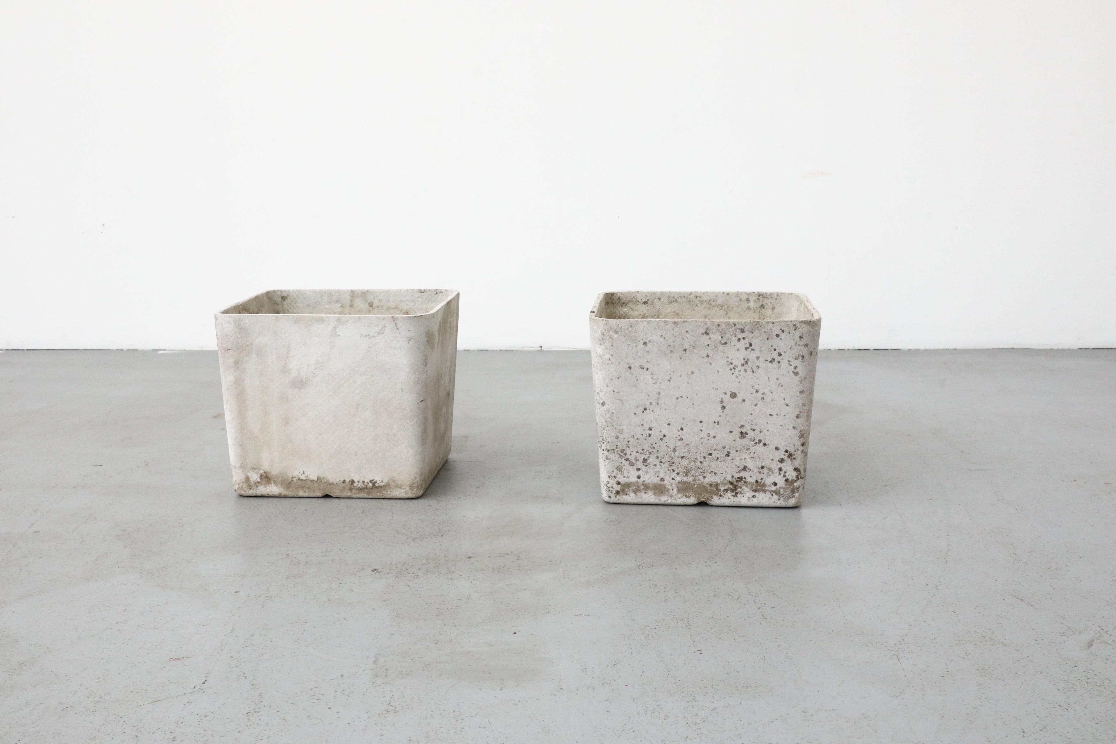 Swiss Mid-Century Willy Guhl Attributed Square Cement Planter