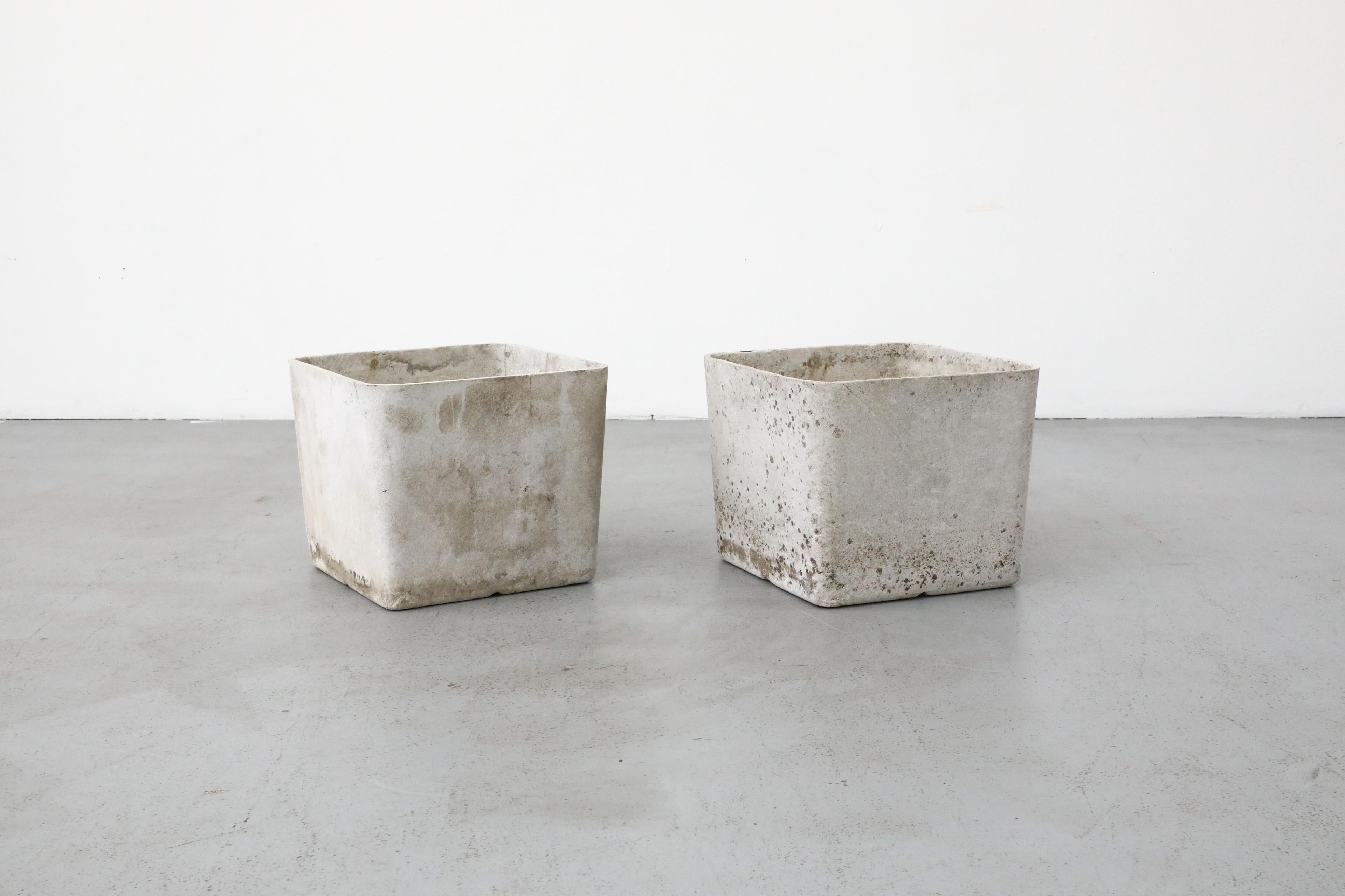 Mid-Century Willy Guhl Attributed Square Cement Planter In Good Condition In Los Angeles, CA