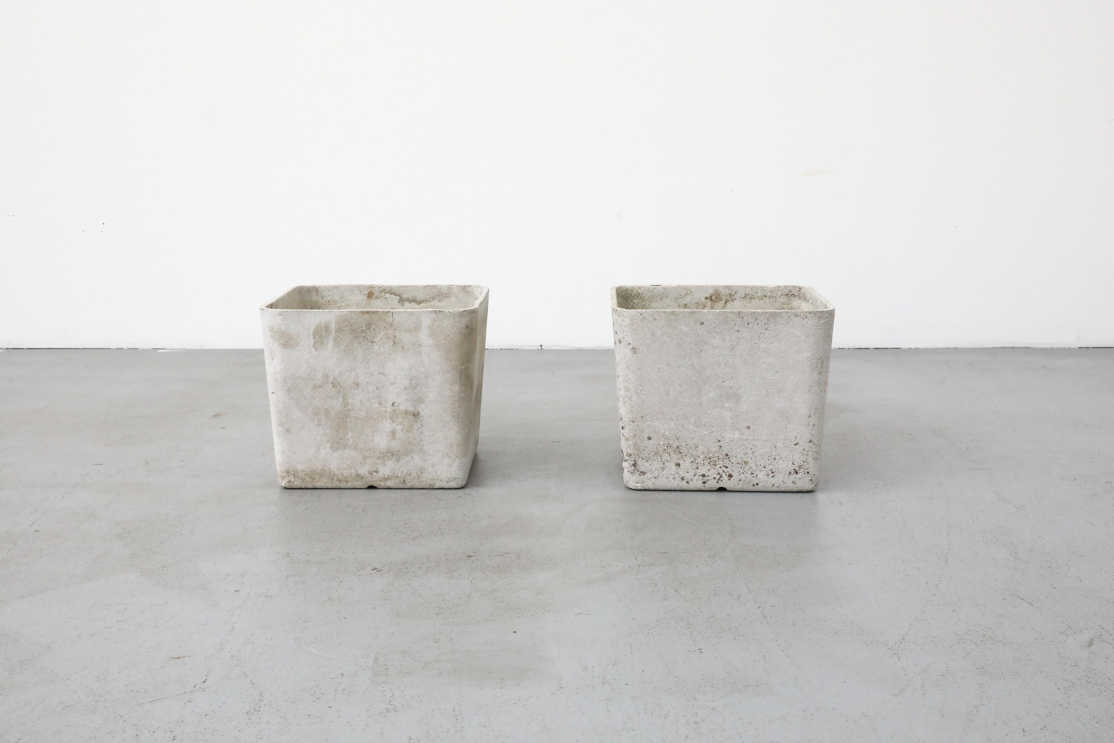 20th Century Mid-Century Willy Guhl Attributed Square Cement Planter