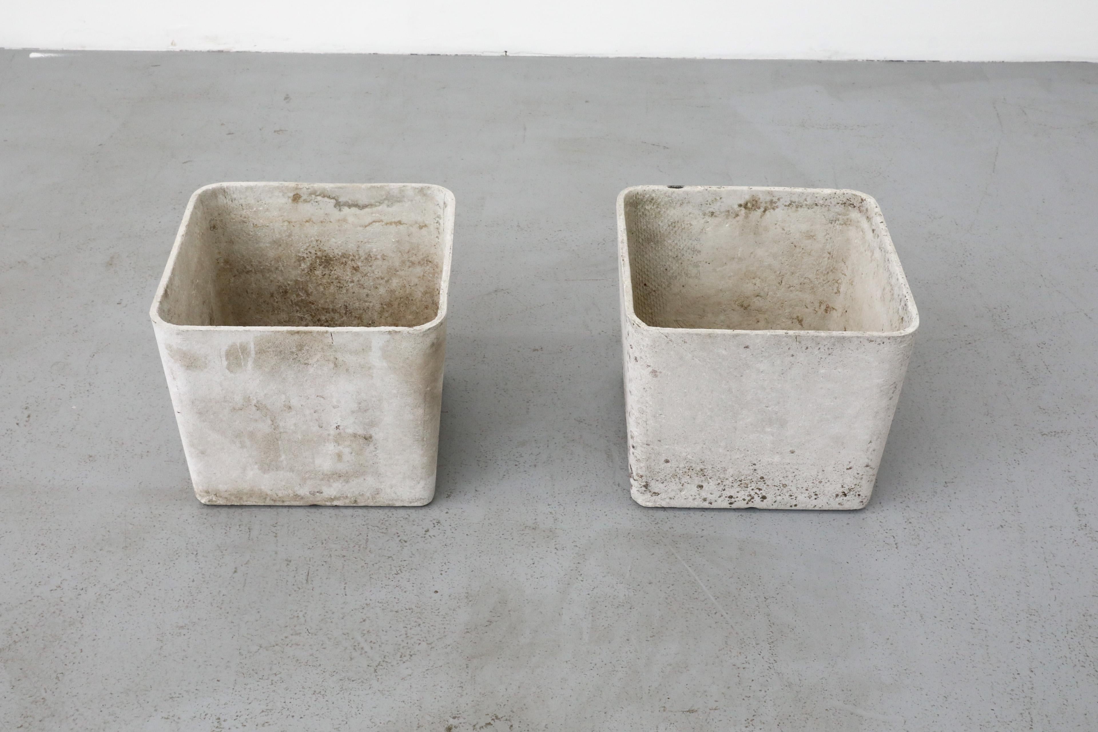 Mid-Century Willy Guhl Attributed Square Cement Planter 1