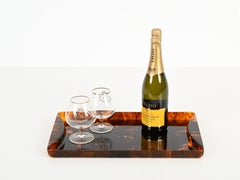 Bandeja para servir de mediados de siglo Willy Rizzo en Lucite efecto carey, Italia Años 70