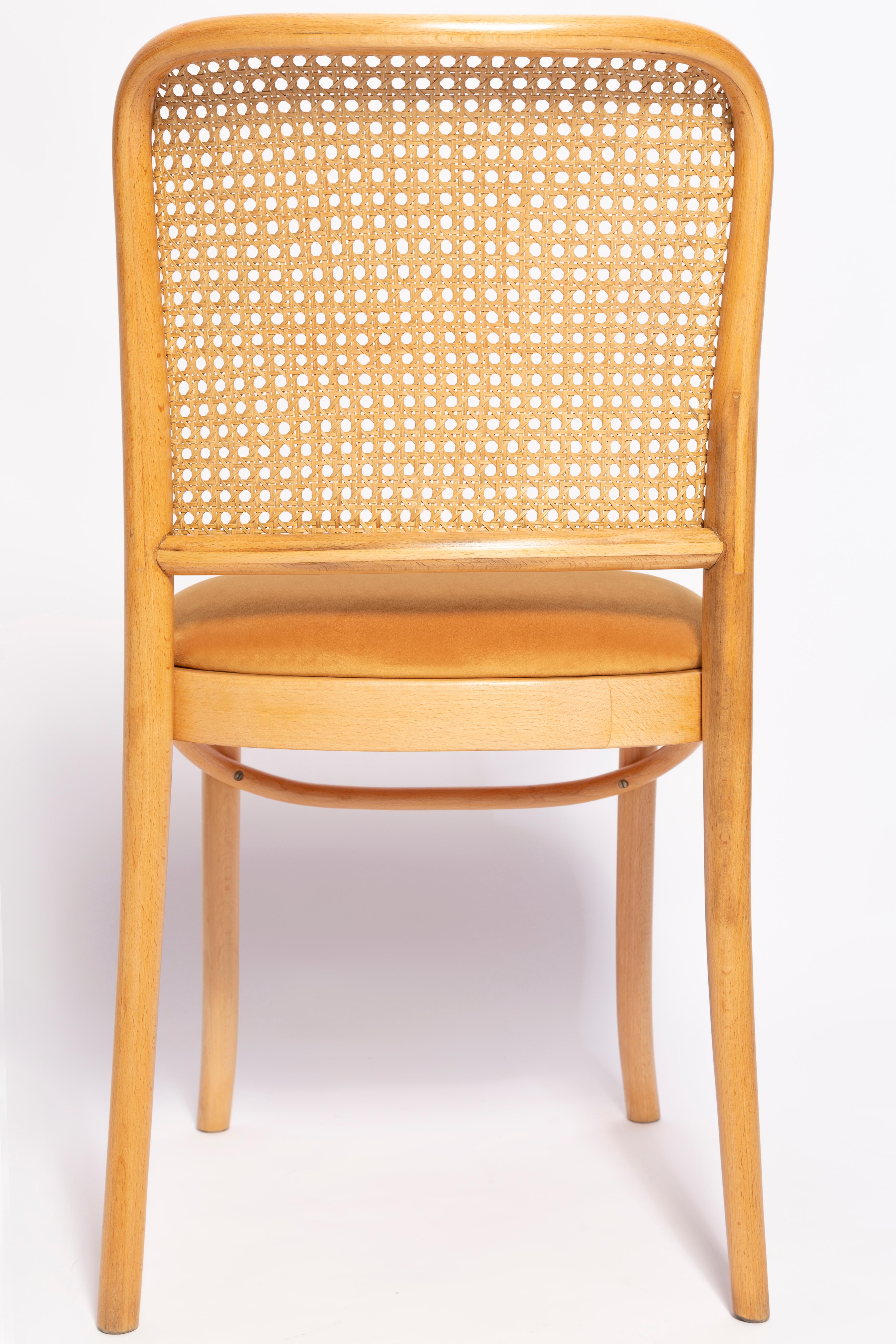 Mid-Century Yellow Velvet Thonet Wood Rattan Chair, Europe, 1960s For Sale 3