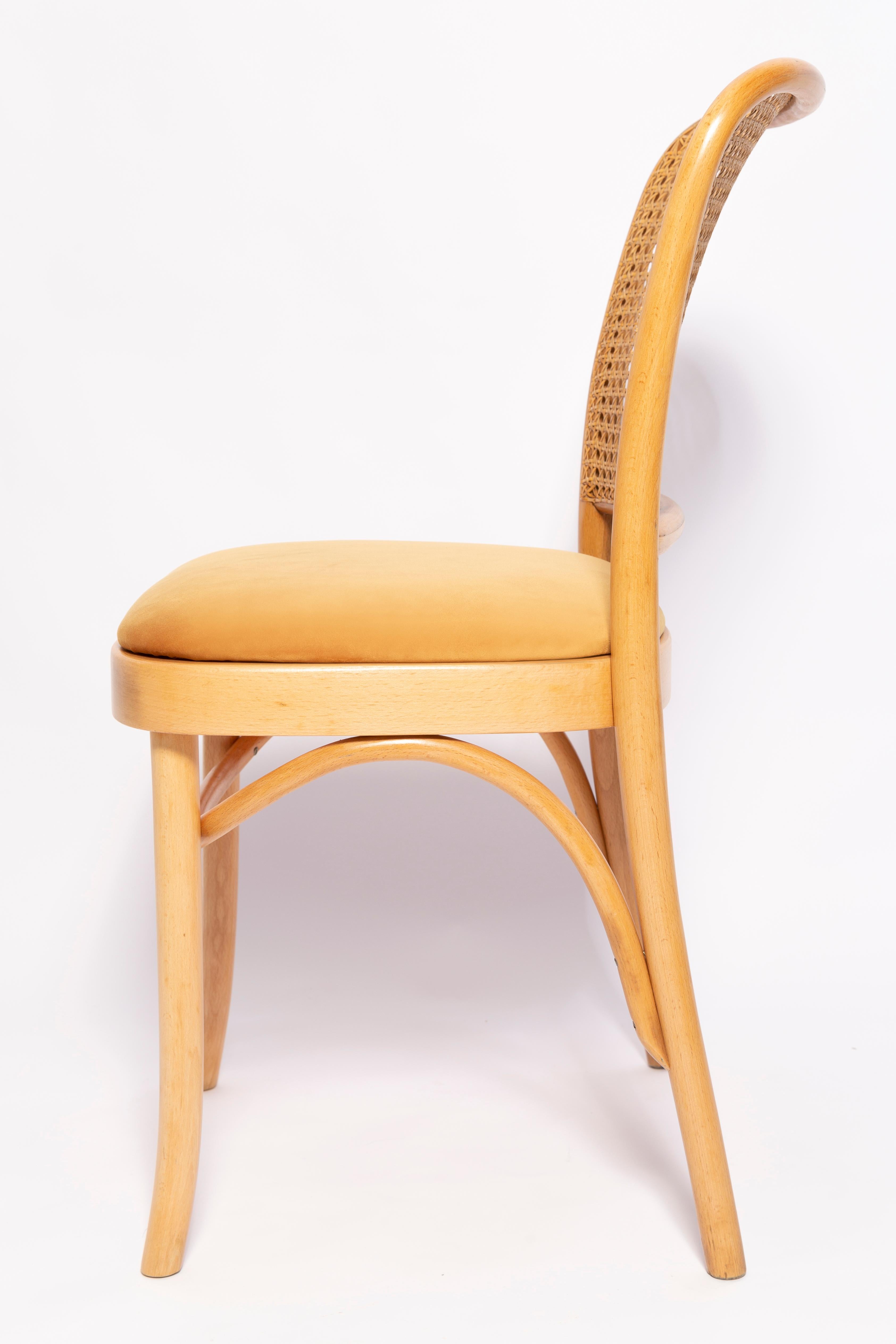 Mid-Century Yellow Velvet Thonet Wood Rattan Chair, Europe, 1960s For Sale 4