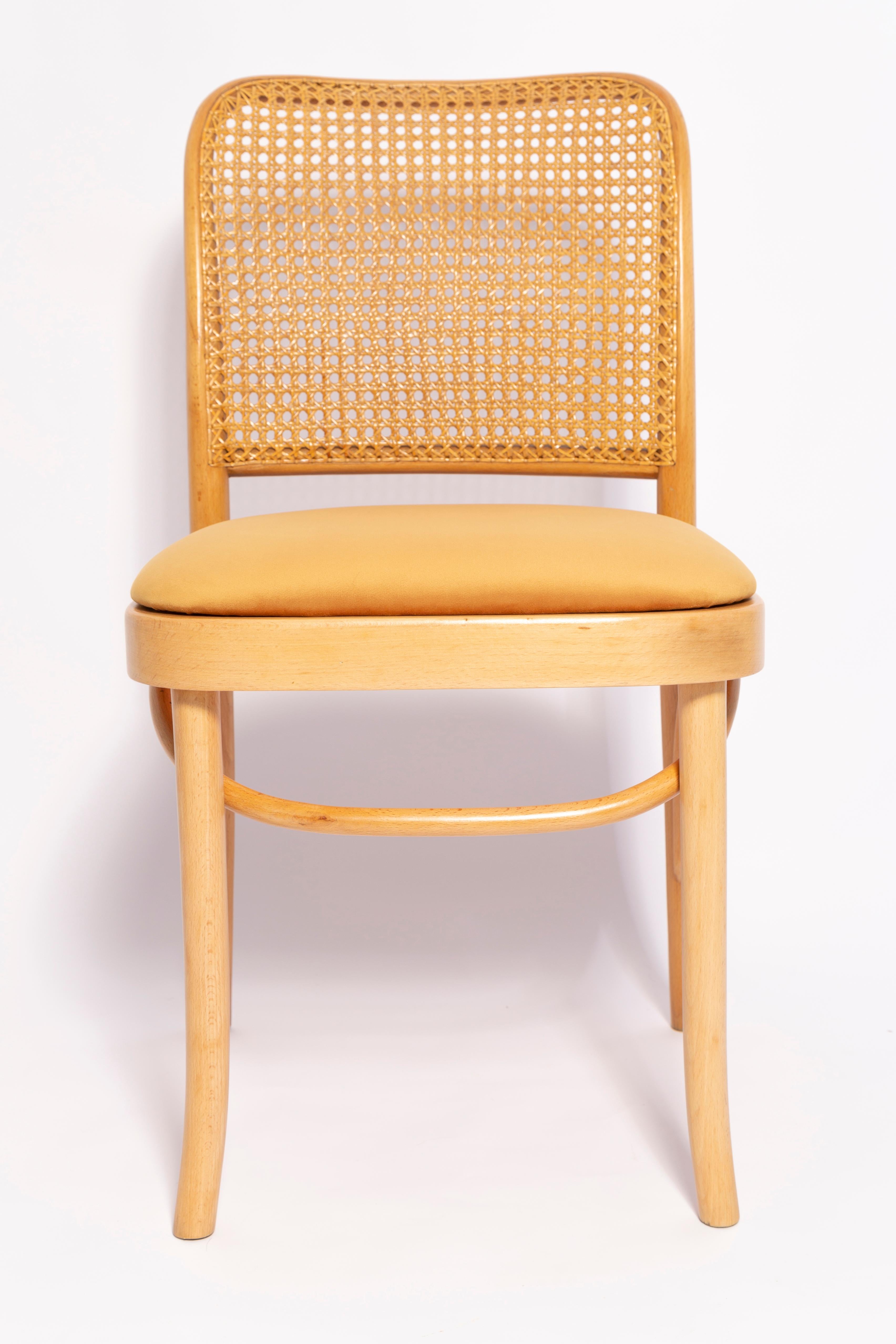Mid-Century Yellow Velvet Thonet Wood Rattan Chair, Europe, 1960s For Sale 5