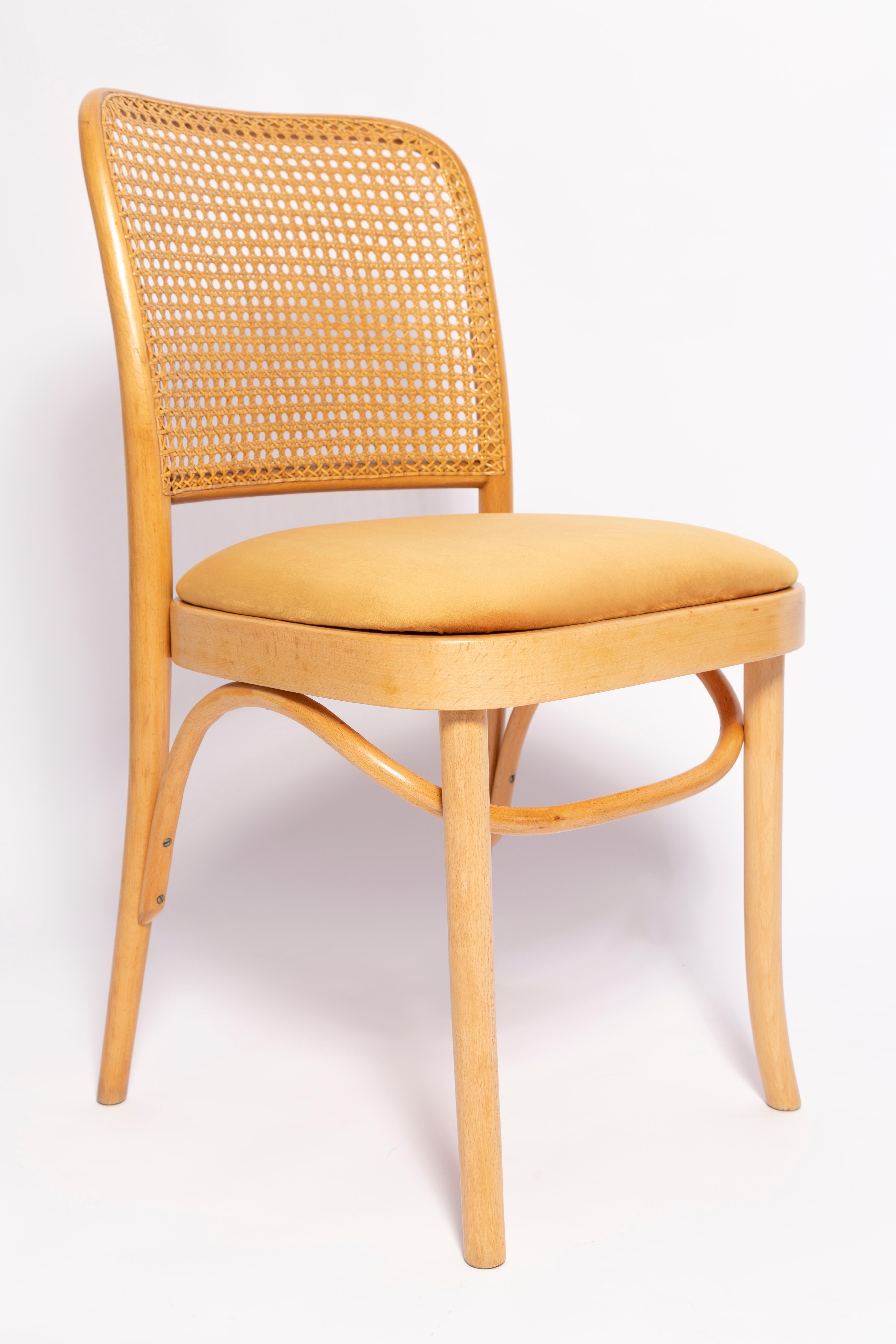 Magnifique chaise du milieu du siècle en rotin, velours et bois. 

Ils ont été produits dans l'usine de menuiserie Thonet dans les années 1960. Nous les avons entièrement rénovés. La construction est en bois de hêtre teinté à l'eau en brun clair.