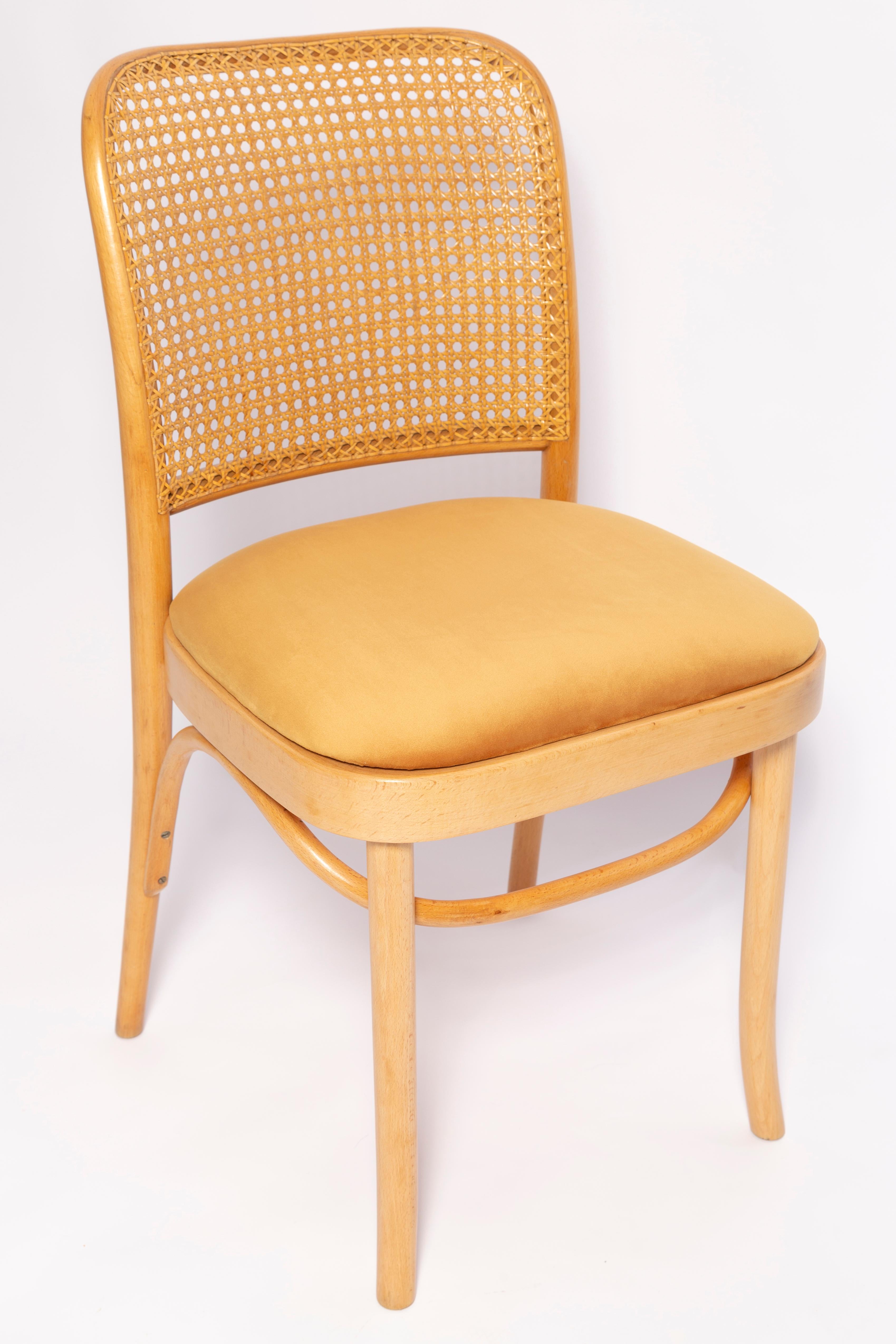 Mid-Century Modern Mid-Century Yellow Velvet Thonet Wood Rattan Chair, Europe, 1960s For Sale