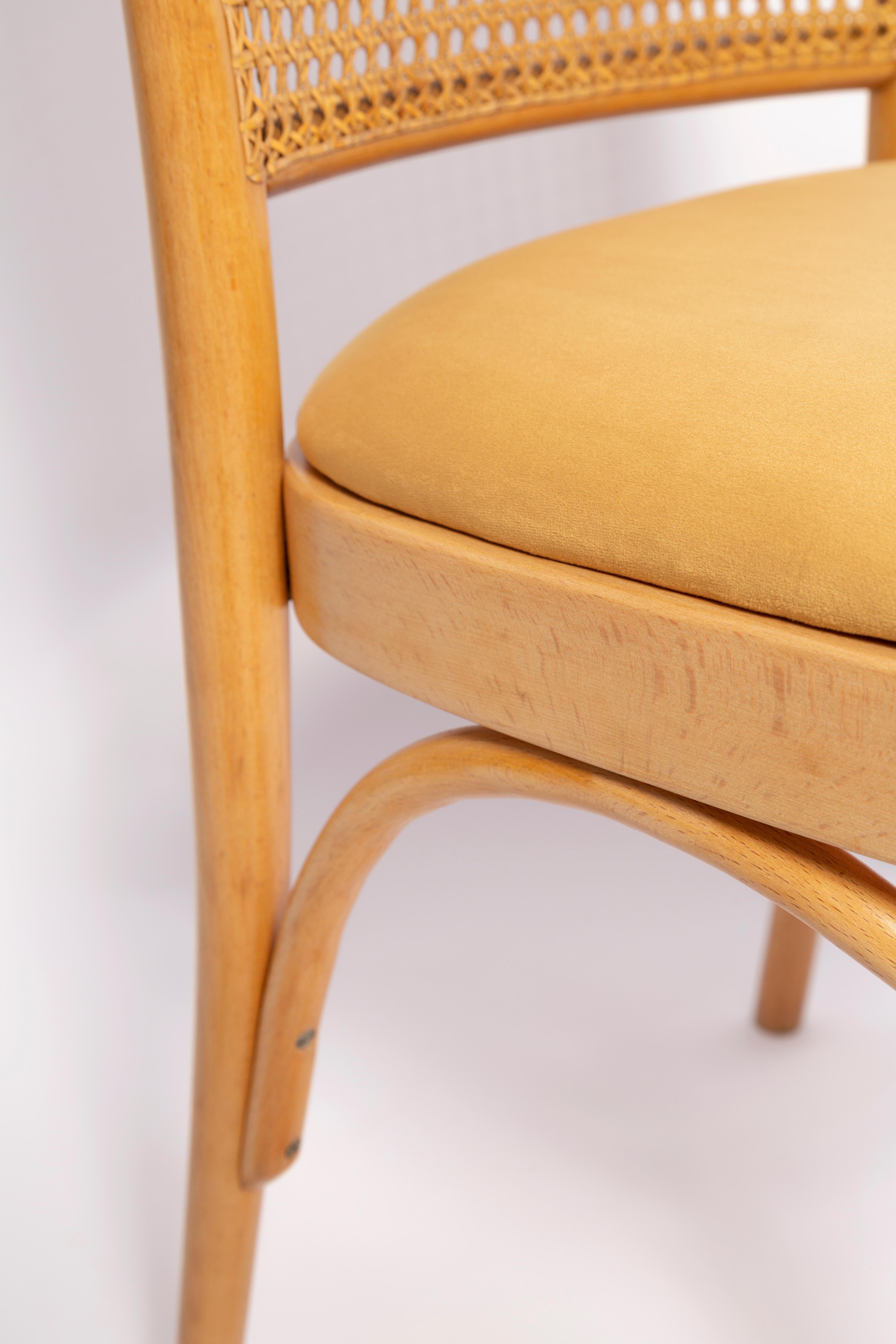 Polish Mid-Century Yellow Velvet Thonet Wood Rattan Chair, Europe, 1960s For Sale