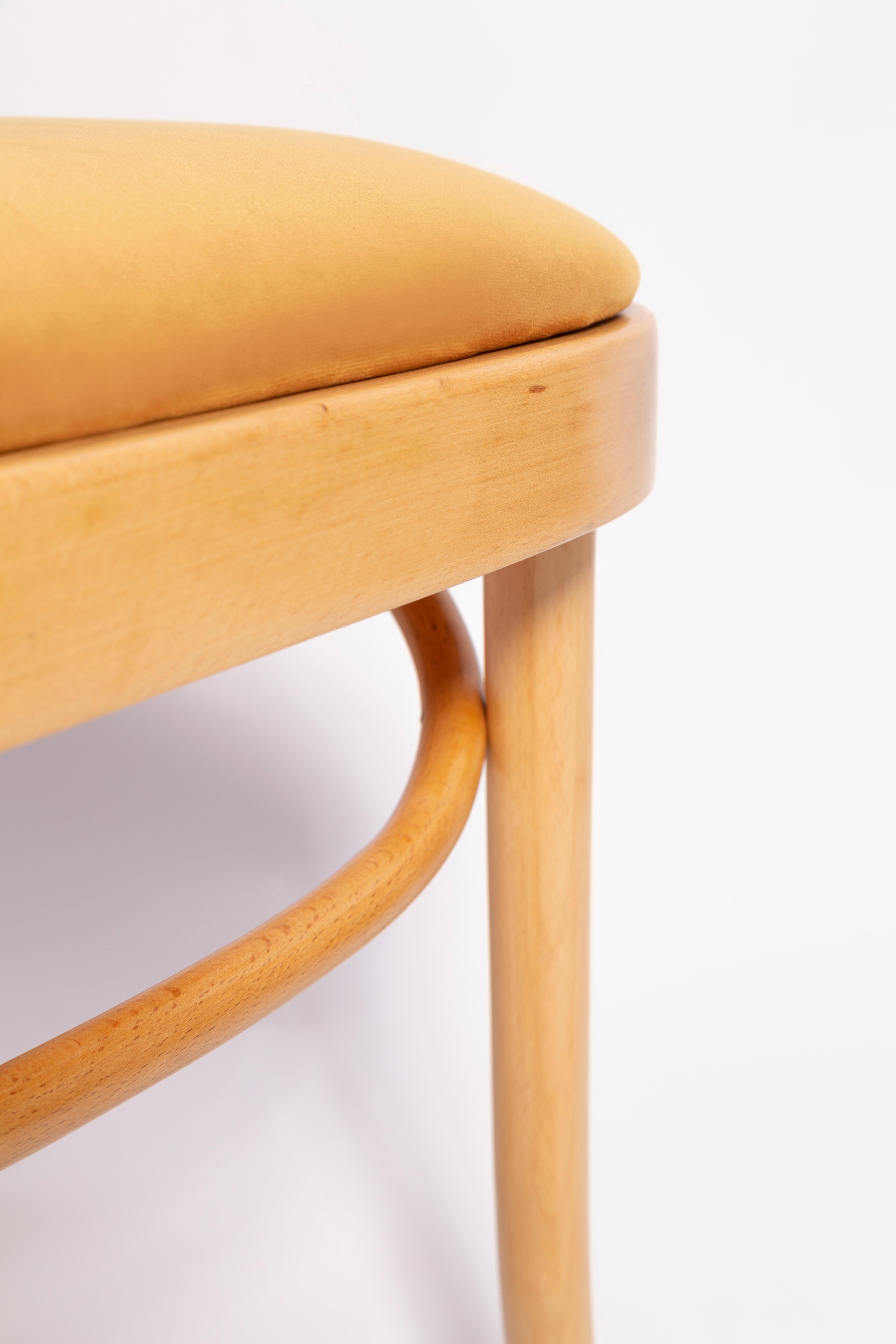 Mid-Century Yellow Velvet Thonet Wood Rattan Chair, Europe, 1960s In Excellent Condition For Sale In 05-080 Hornowek, PL