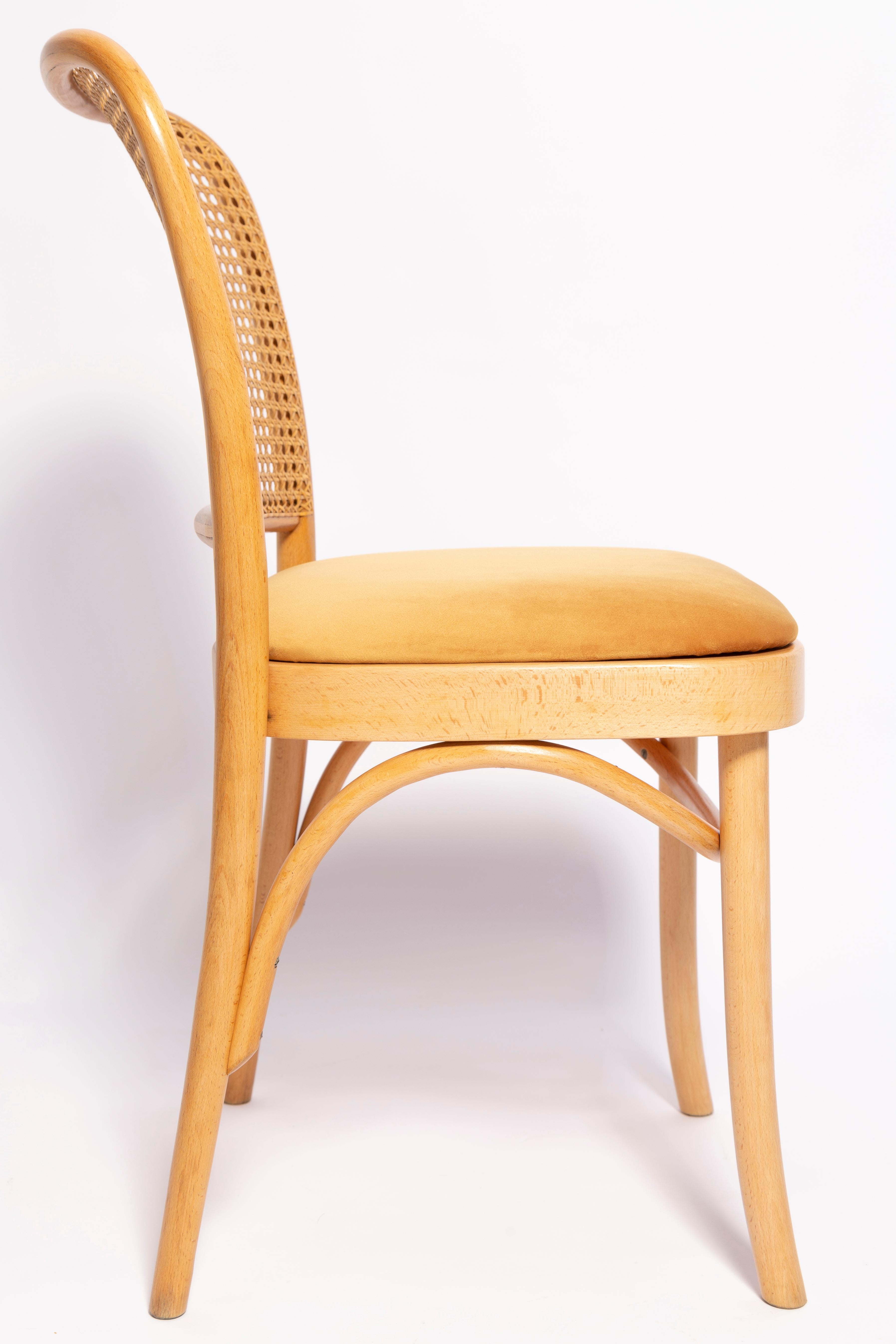 20th Century Mid-Century Yellow Velvet Thonet Wood Rattan Chair, Europe, 1960s For Sale