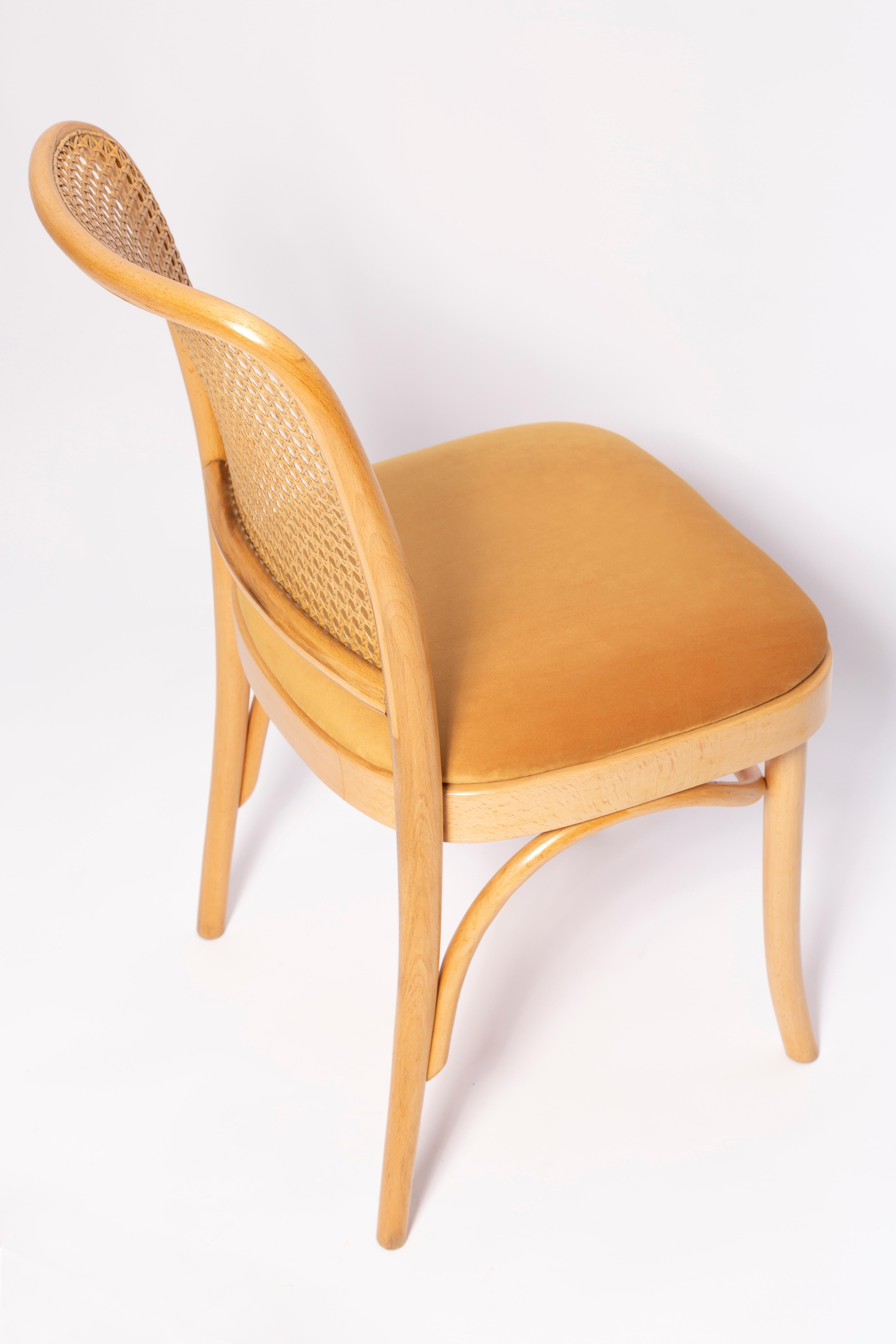 Mid-Century Yellow Velvet Thonet Wood Rattan Chair, Europe, 1960s For Sale 1