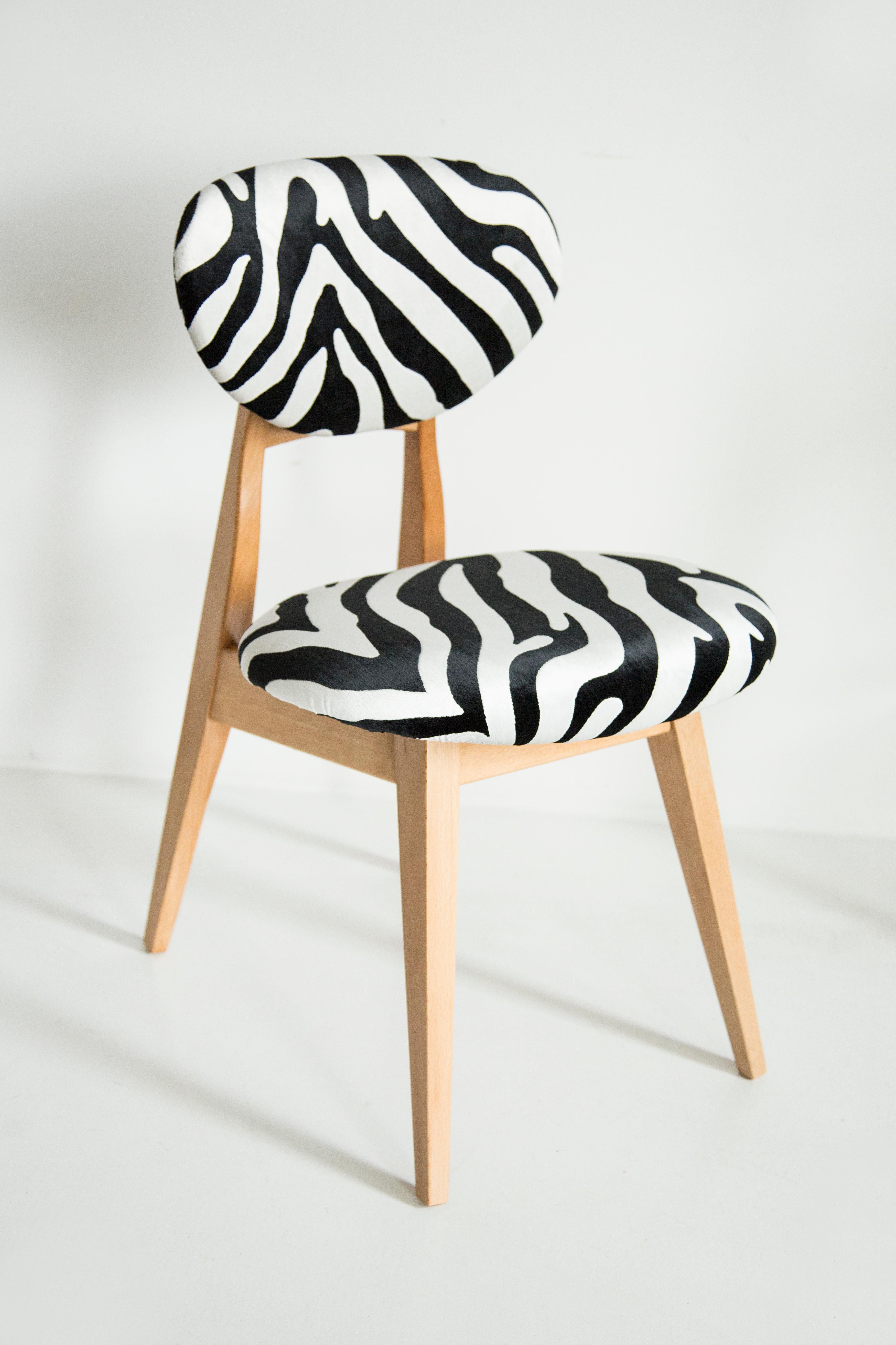 Mid-Century Modern Mid-Century Zebra Chair, Type 200/128, by J. Kedziorek, Europe, 1960s For Sale