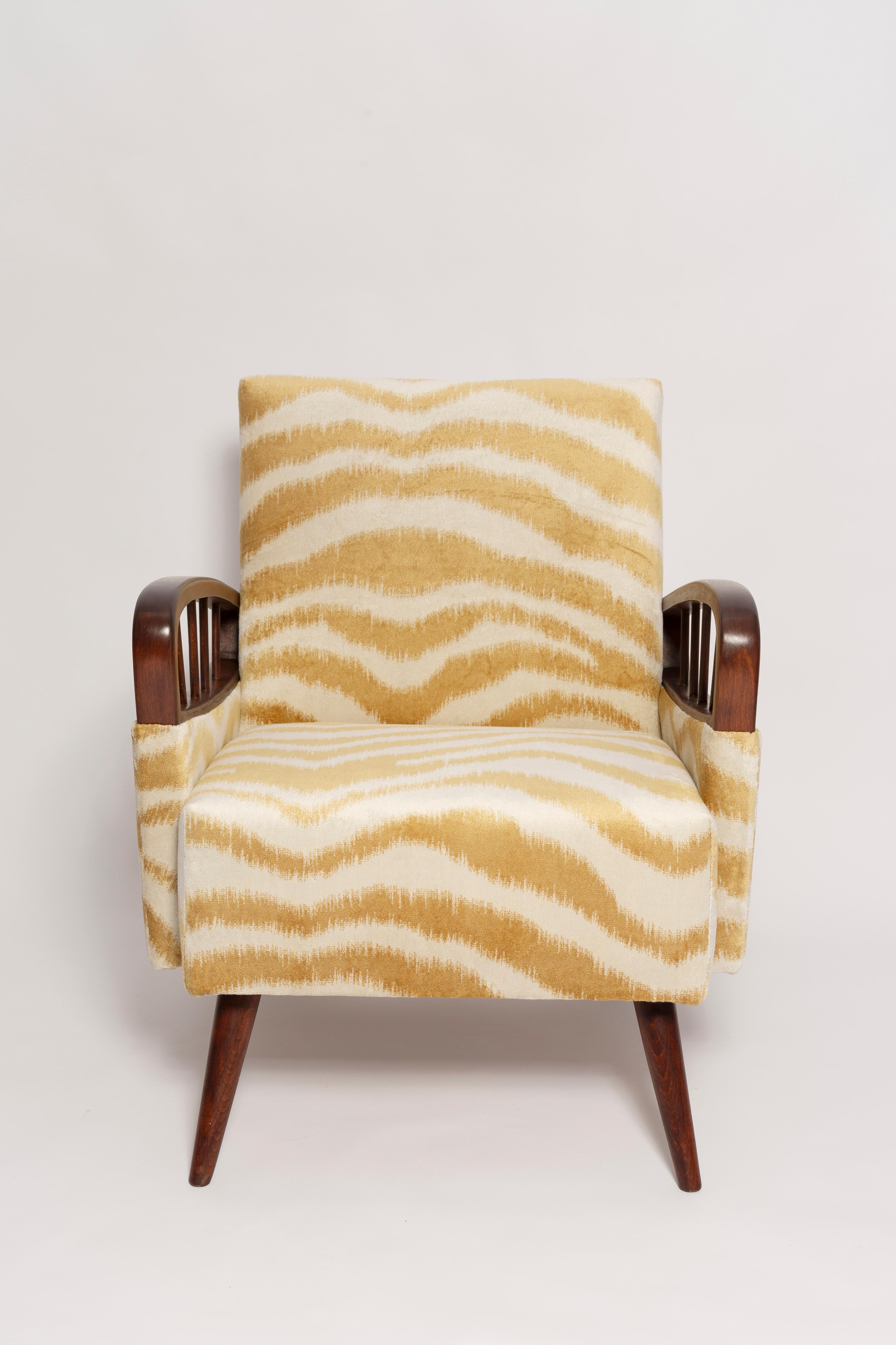 Hand-Crafted Mid Century Zebra Tiger Velvet Armchair, Europe, 1960s For Sale