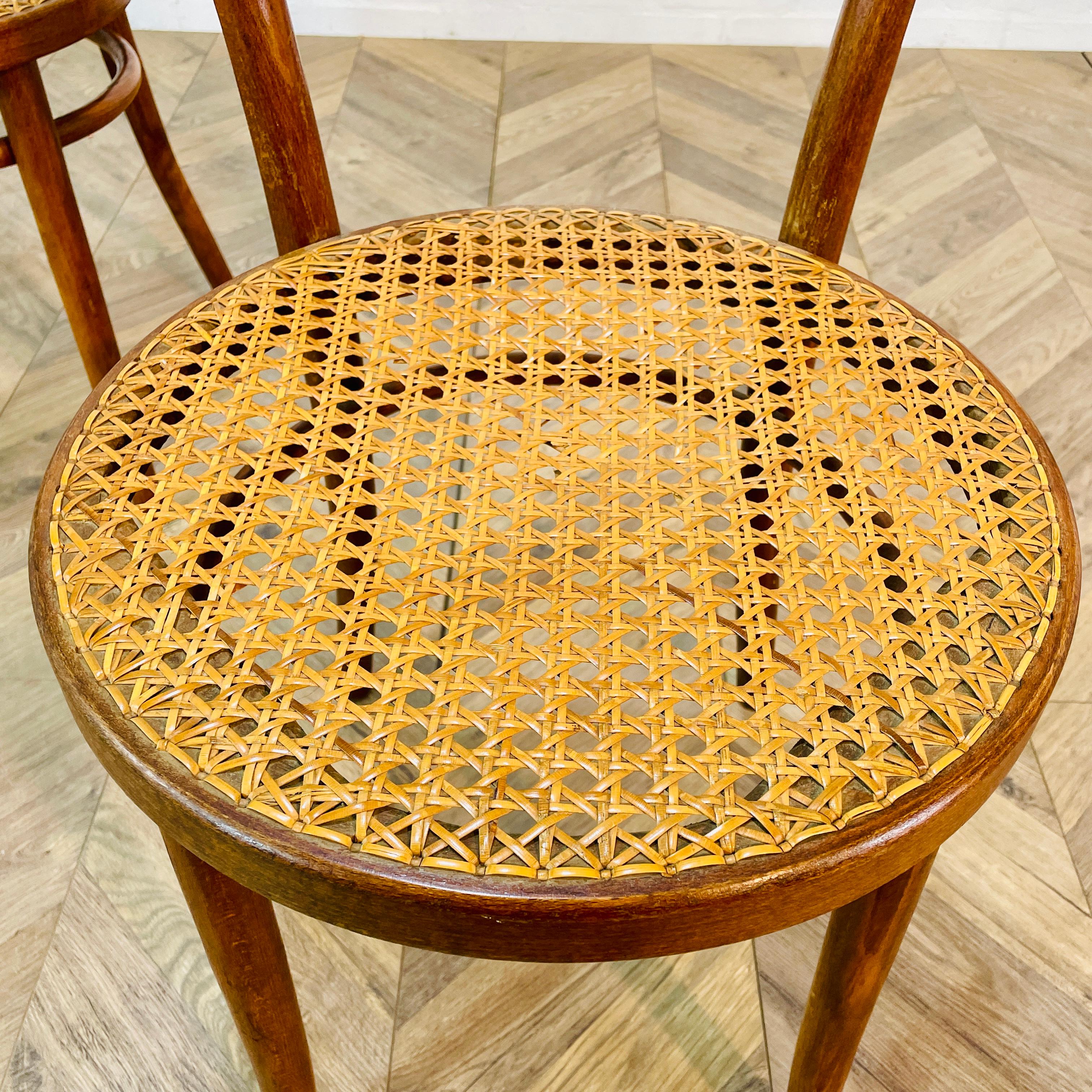 Mid-Century ZPM Radomsko Bentwood + Cane Chairs, Set of 2, 1950s 4
