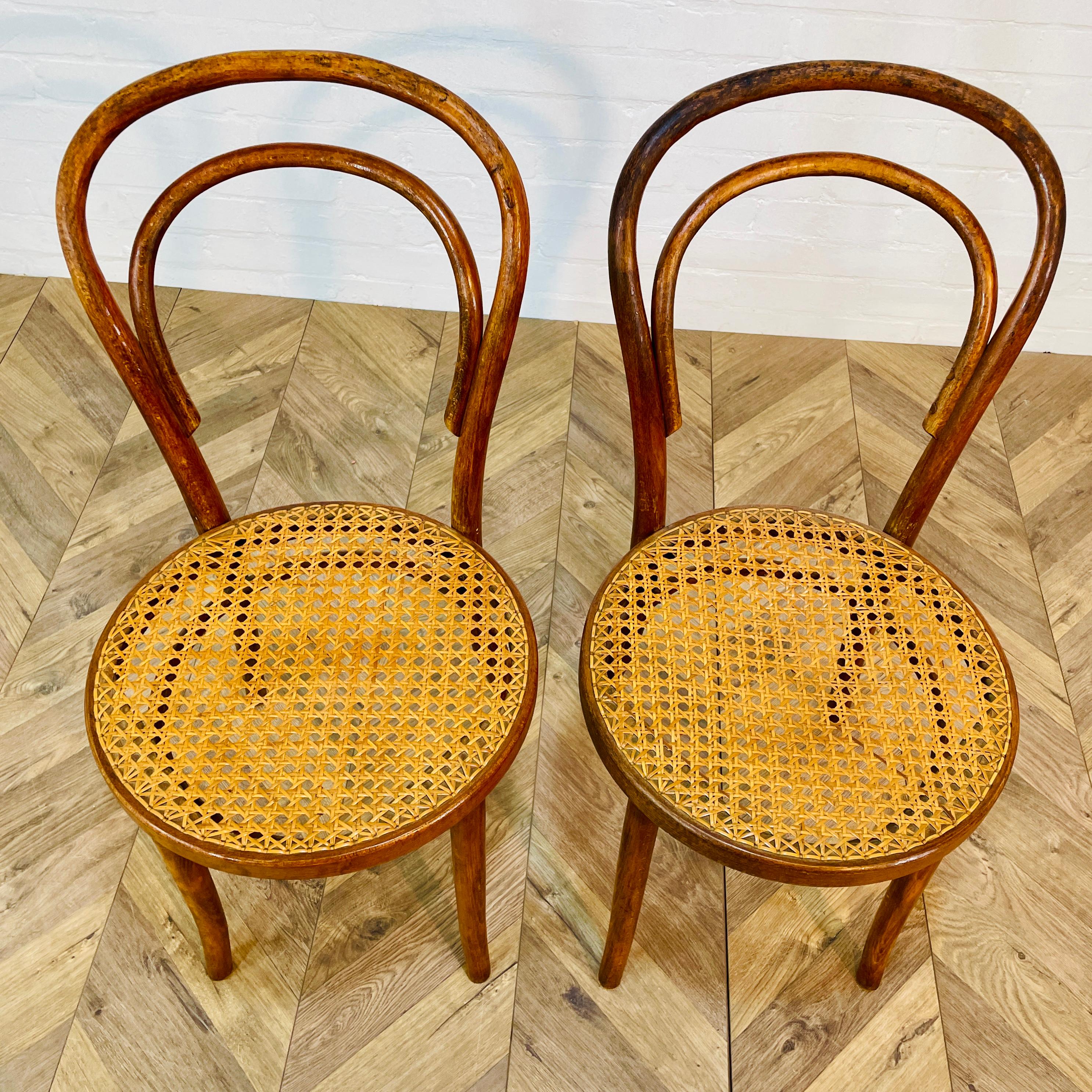 Mid-Century Modern Mid-Century ZPM Radomsko Bentwood + Cane Chairs, Set of 2, 1950s